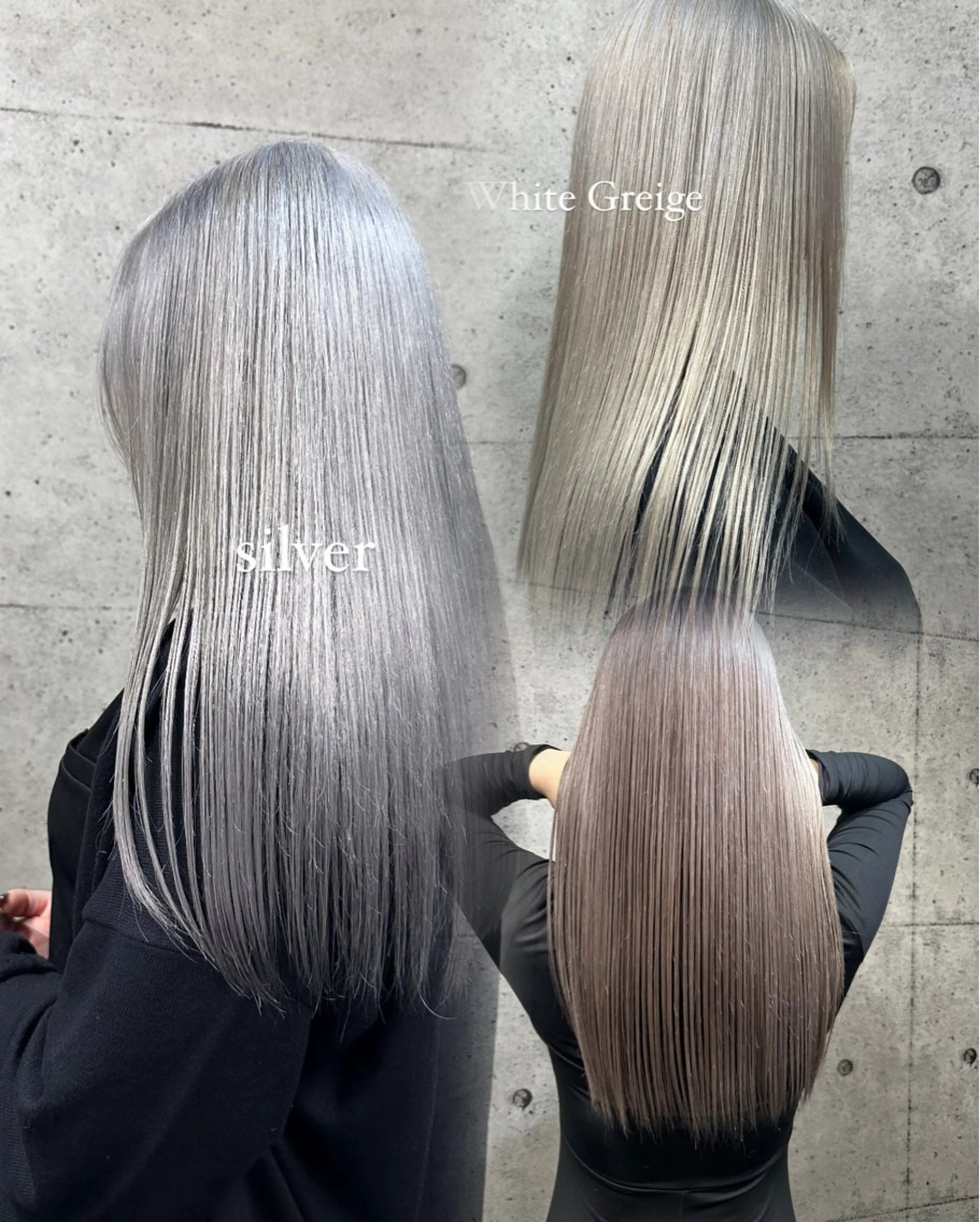 [シルバー、グレー系カラー】🔗ケアブリーチ+カラー🔗の写真