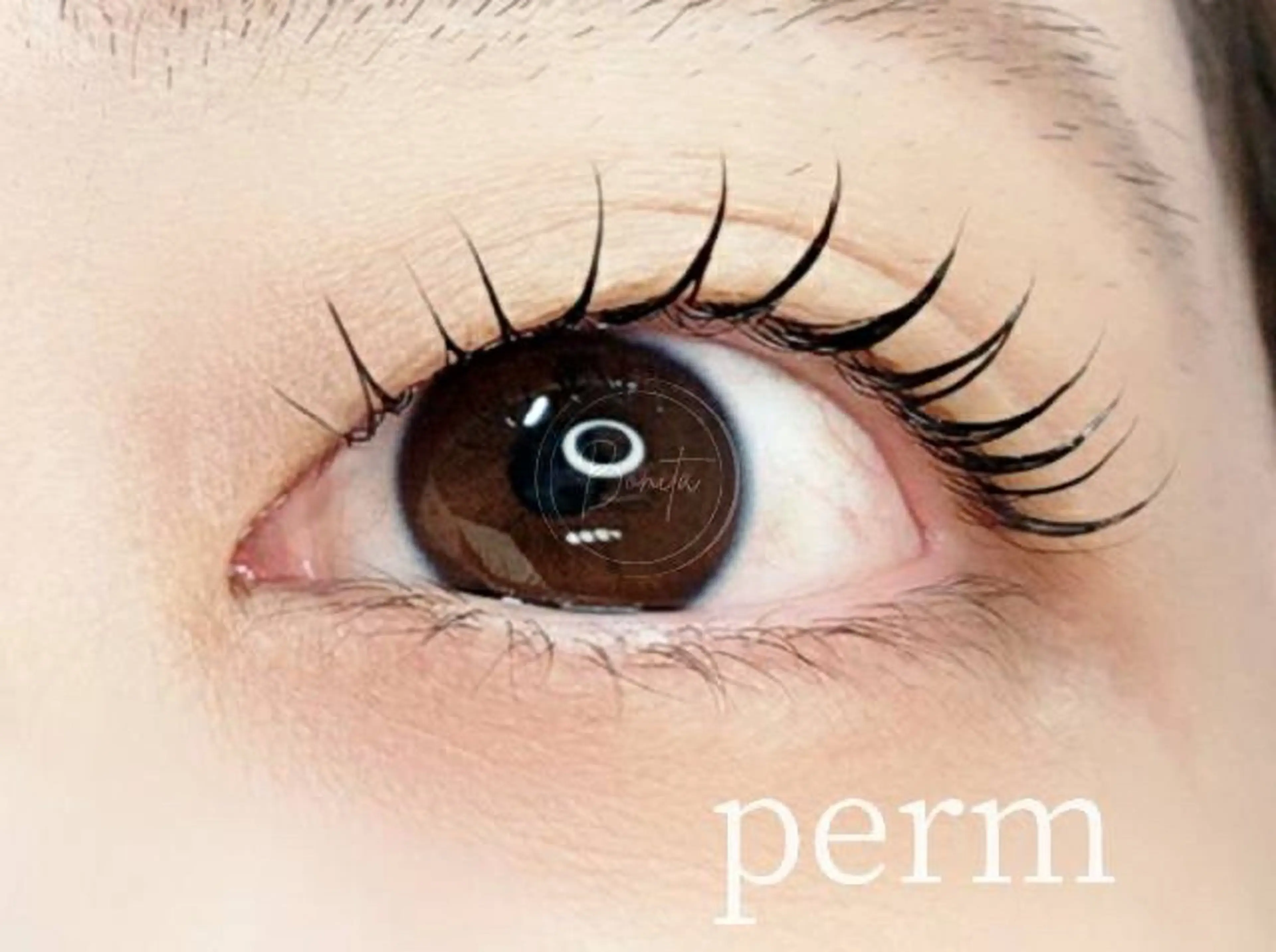 マツエク・マツパ 一重×まつ毛パーマ bonita所属・山本 マツゲのマツエク・マツパデザイン