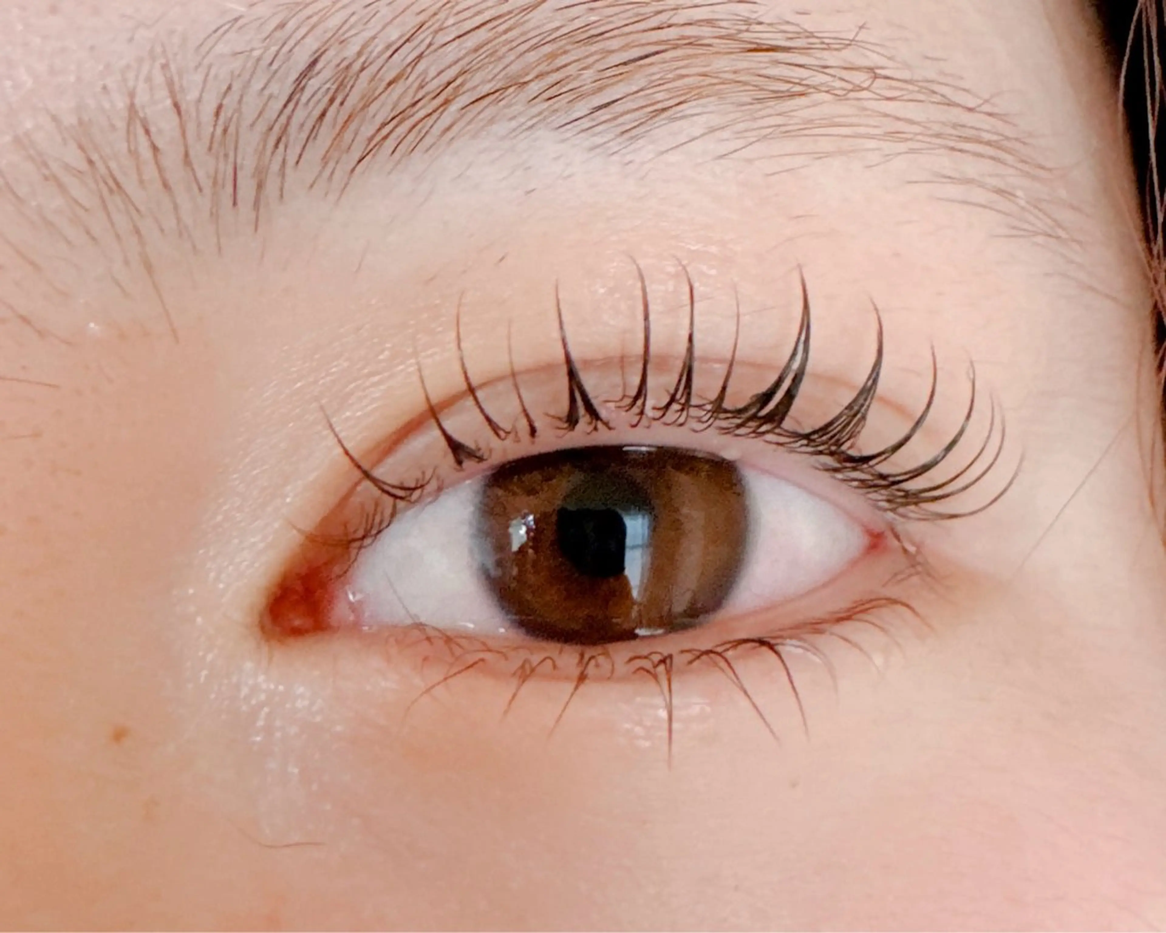 マツエク・マツパ ate eyelash 和泉府中店【まつげパーマ/ラッシ ユリフト/LED/東感バインド/眉毛】所属・もり まゆみのマツエク・マツパデザイン