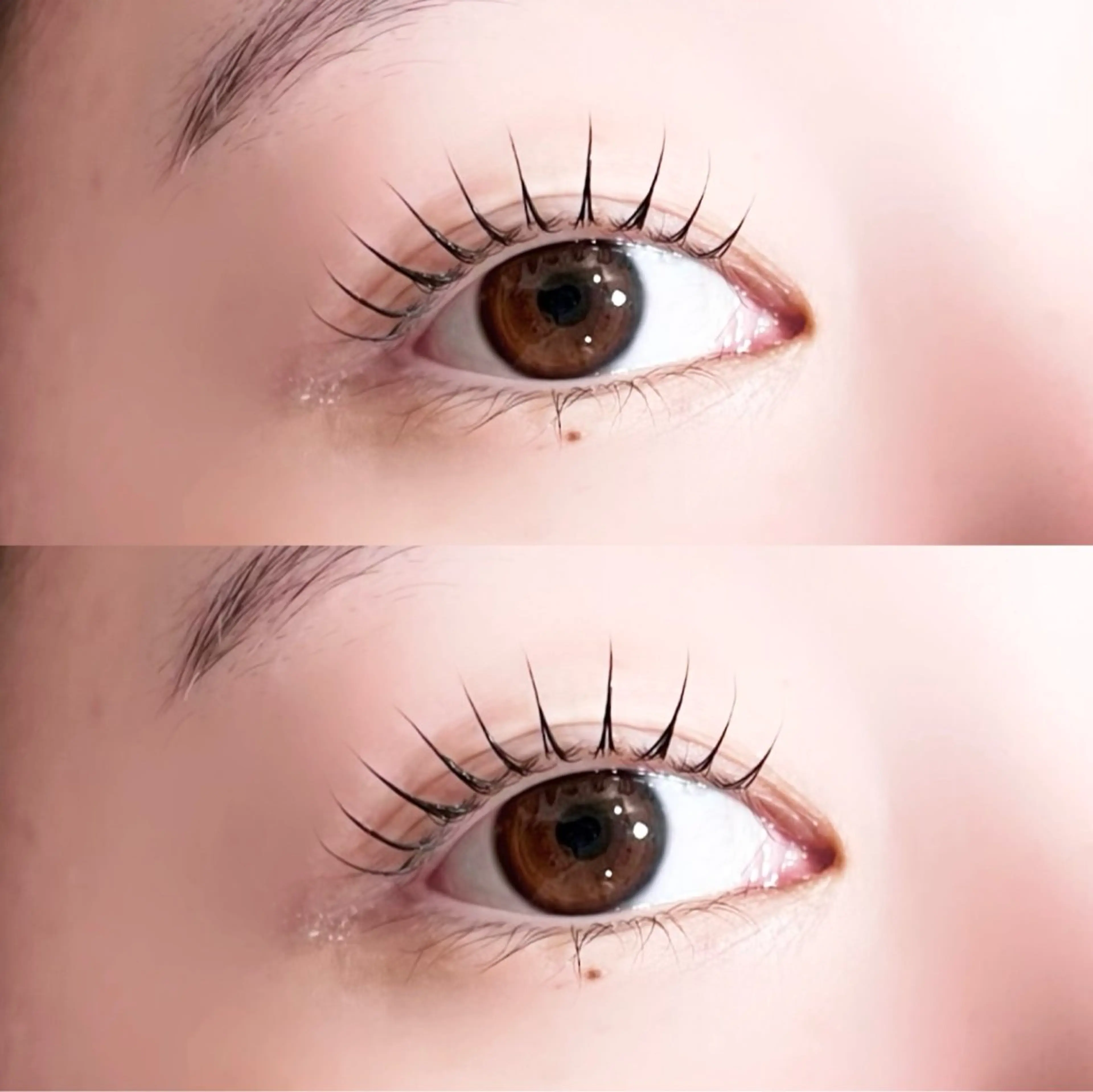 マツエク・マツパ マツパ 🕊MaazLash 4🕊️のマツエク・マツパデザイン