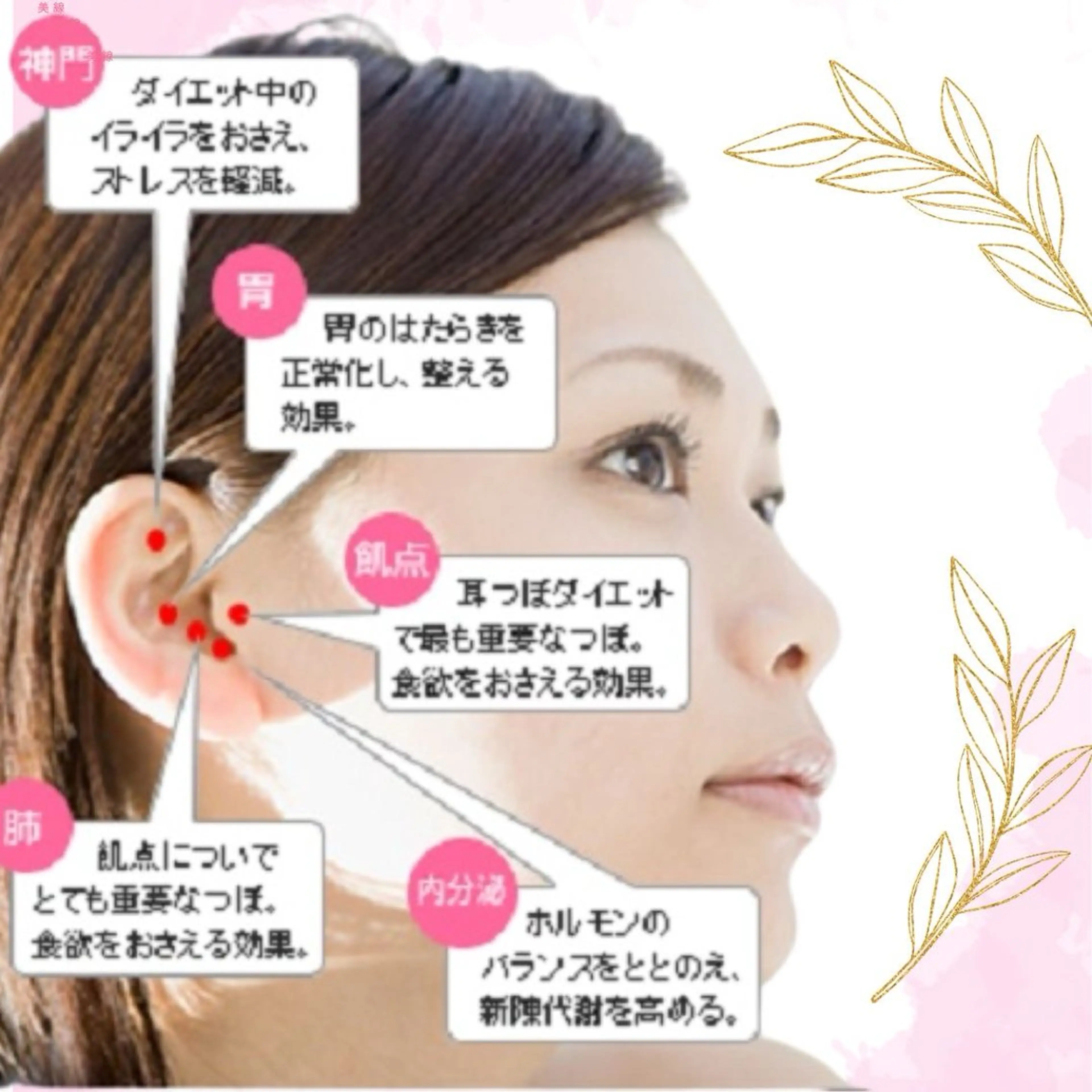 耳つぼダイエット、スタート前のカウンセリングの写真