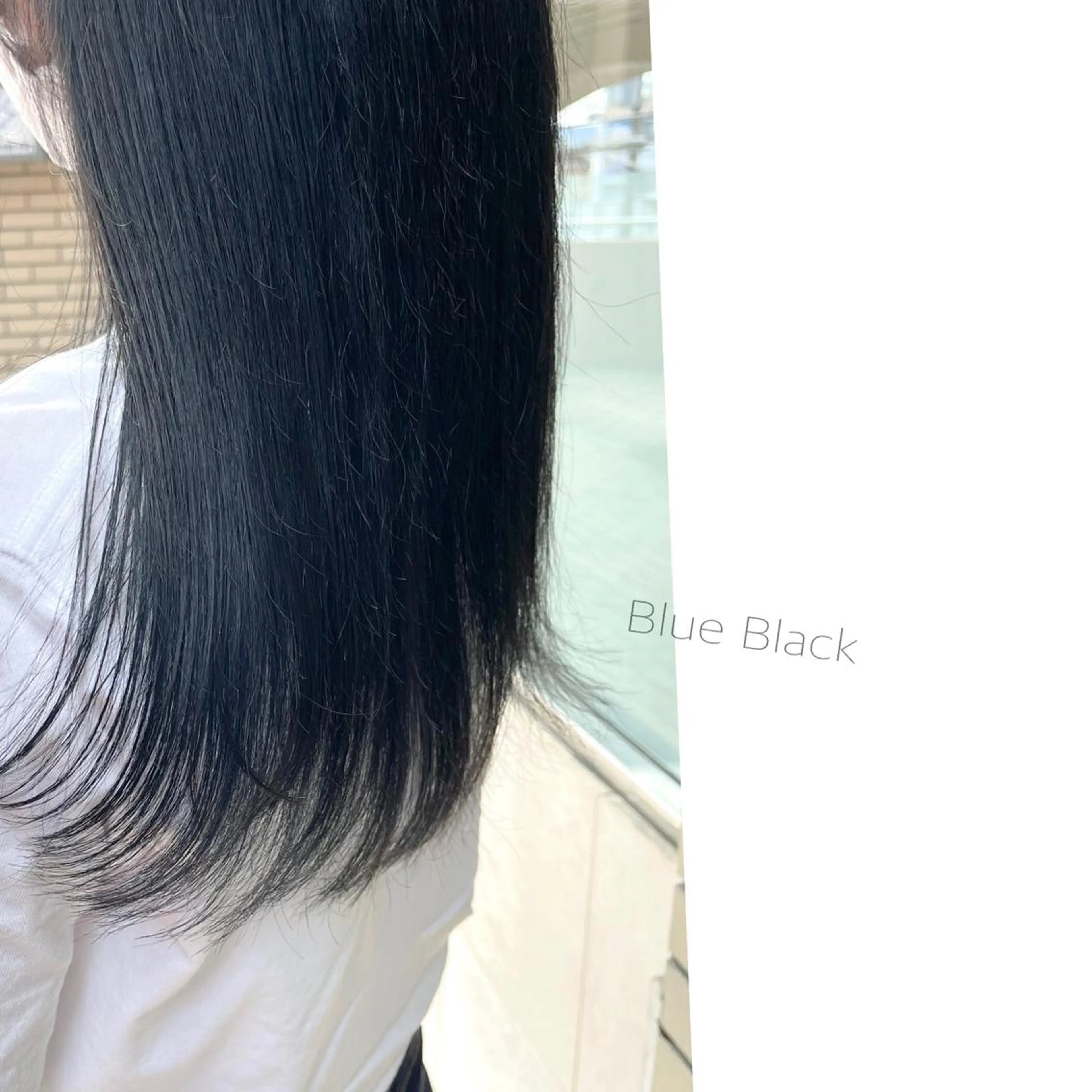 ロング カラー 黒髪 ブルーカラー ブルーブラック Emily所属・永石 知沙希の眉毛・アイブロウイメージ