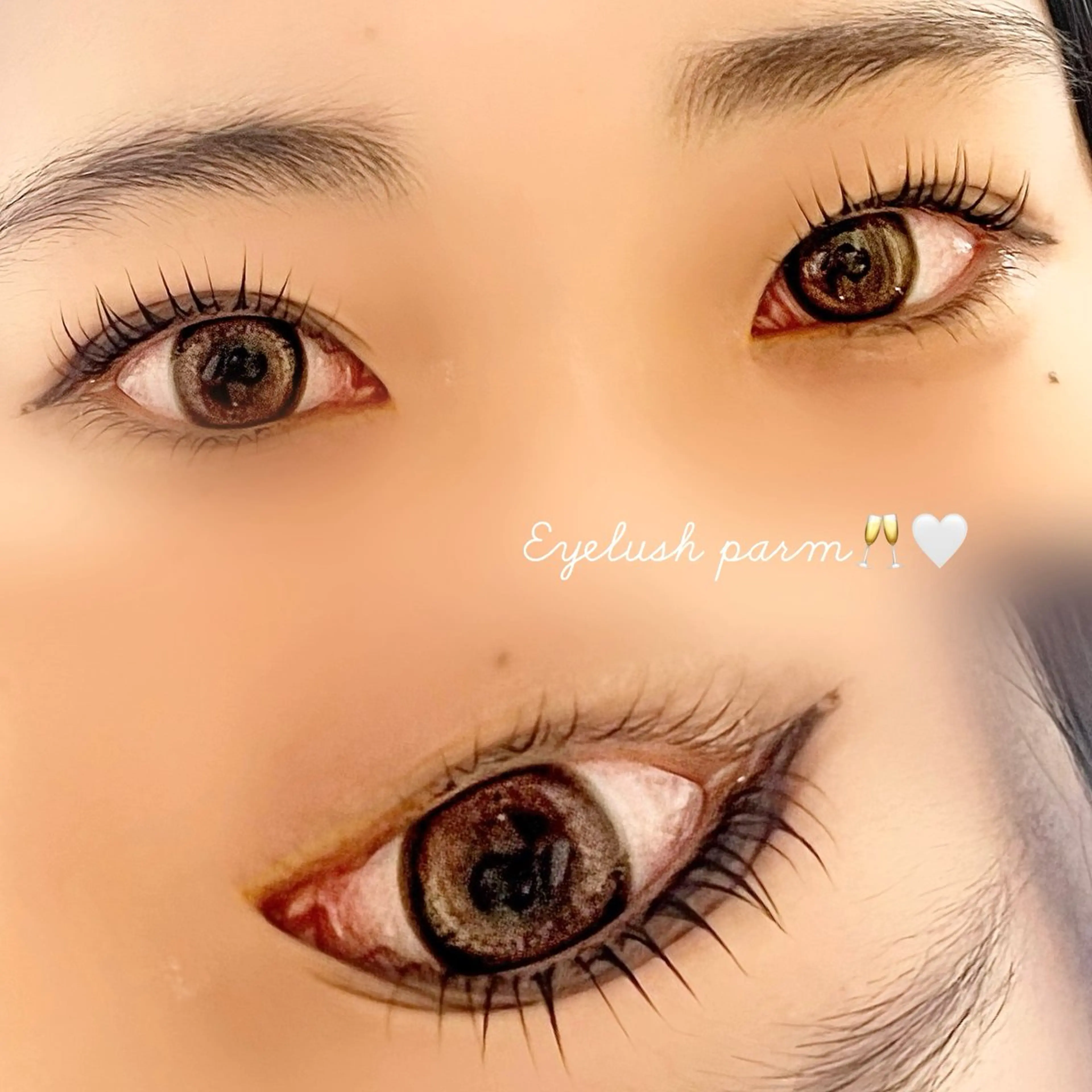 まつ毛パーマorパリジェンヌ上下🦋(エクステオフなし)の写真