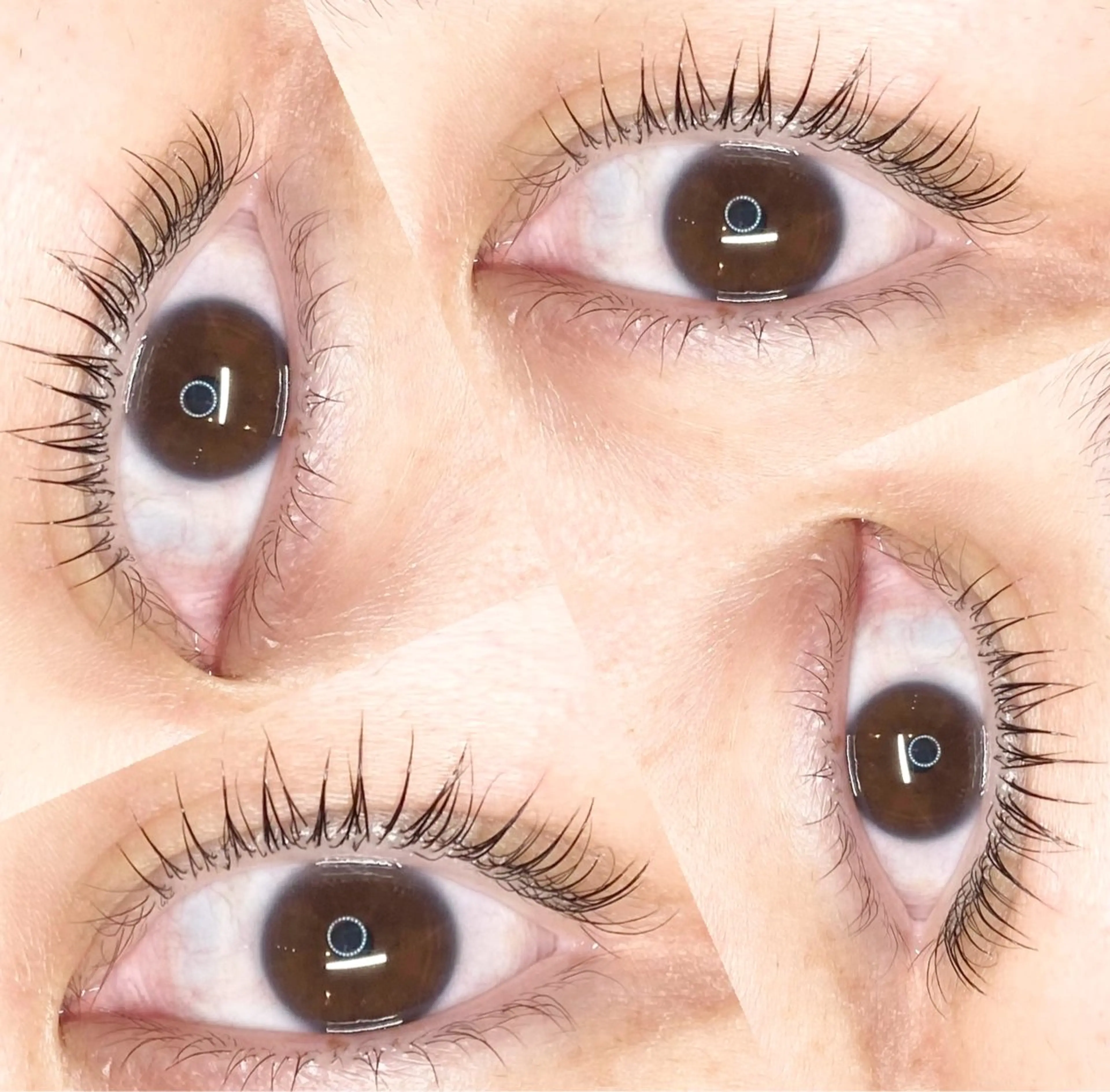 マツエク・マツパ LEDエクステ専門店 Fedis 京橋のマツエク・マツパデザイン