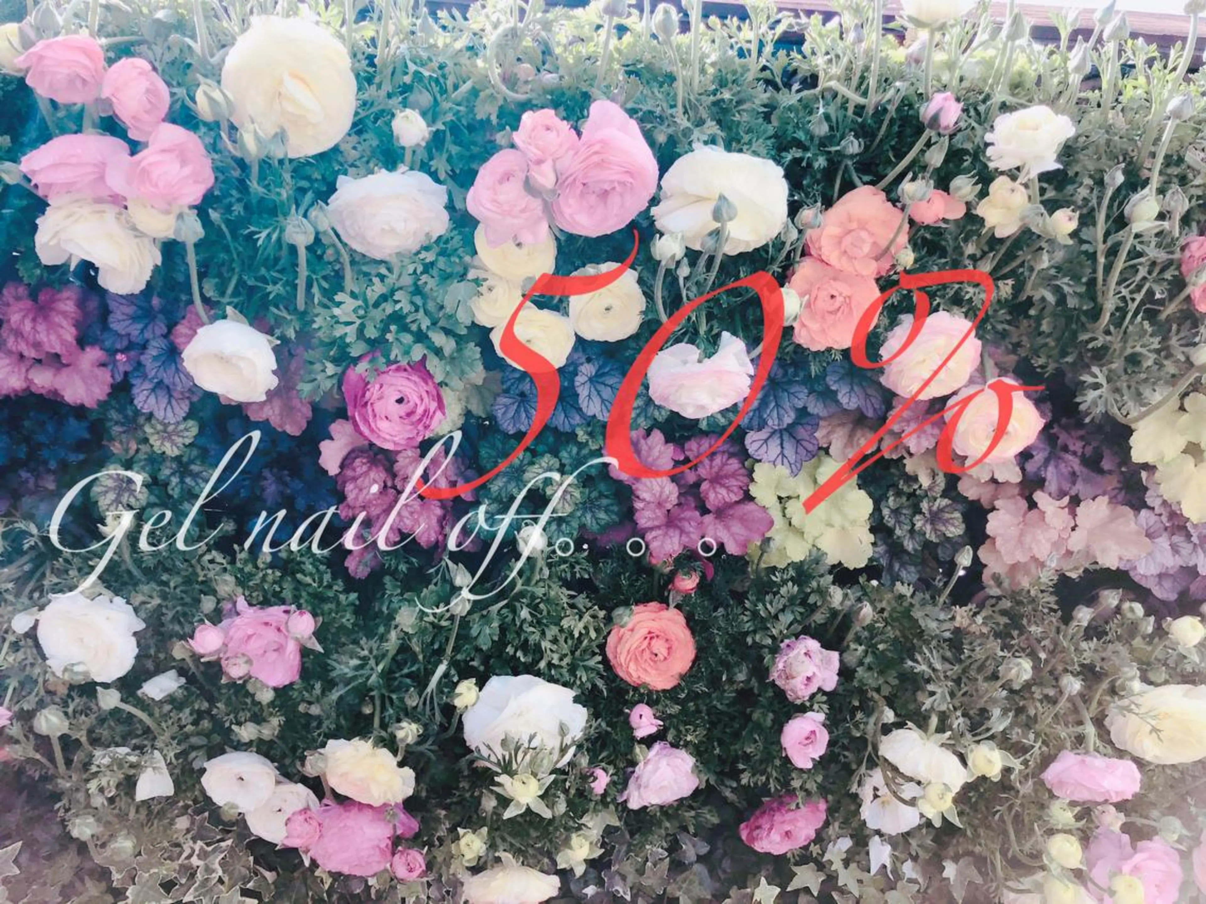 ネイル ジェルネイル nail salon  ∞ mikanal ∞所属・nailsalon ∞ ﾐｶﾅﾙ ∞のネイルデザイン