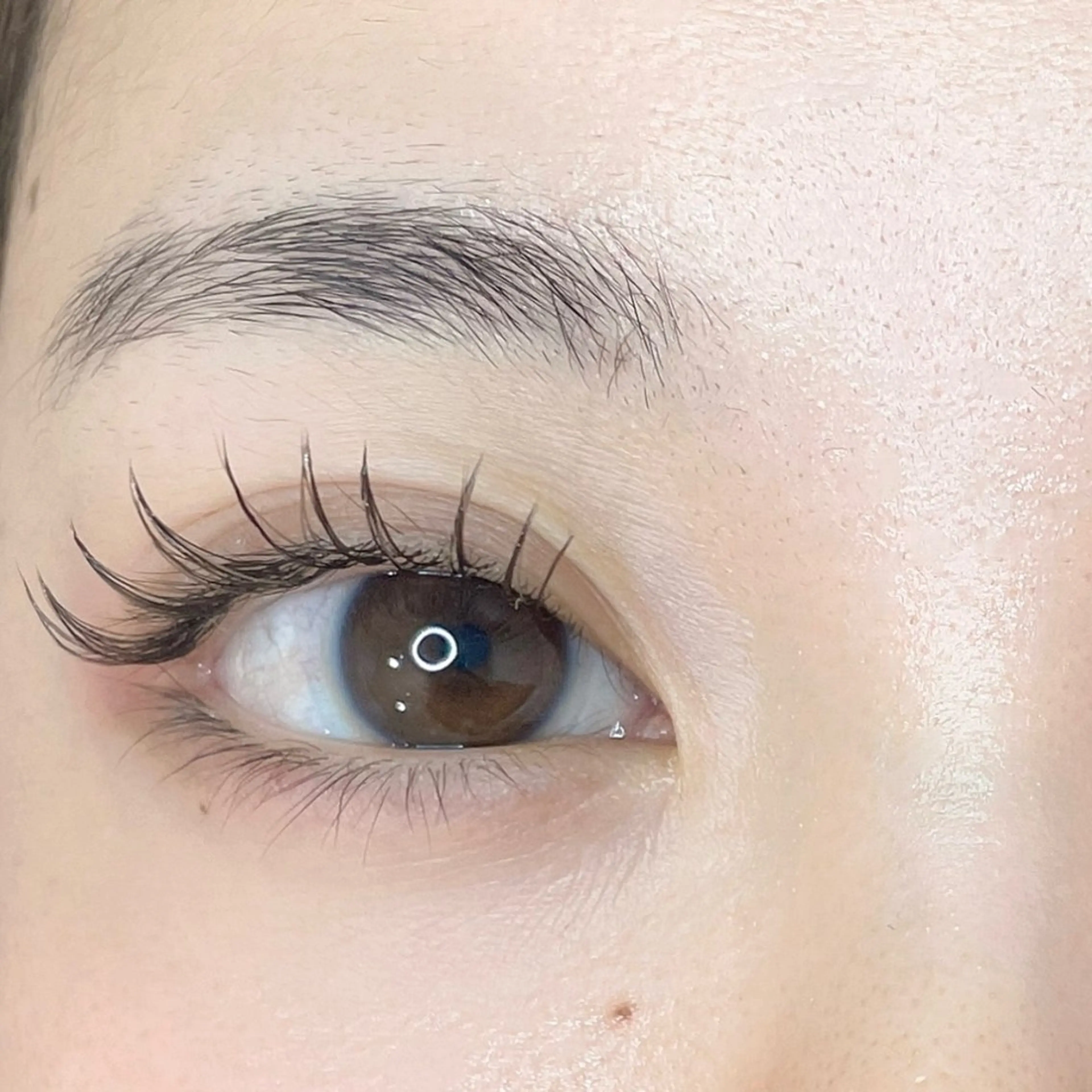 💞🌷フラットラッシュ 120本💞の写真