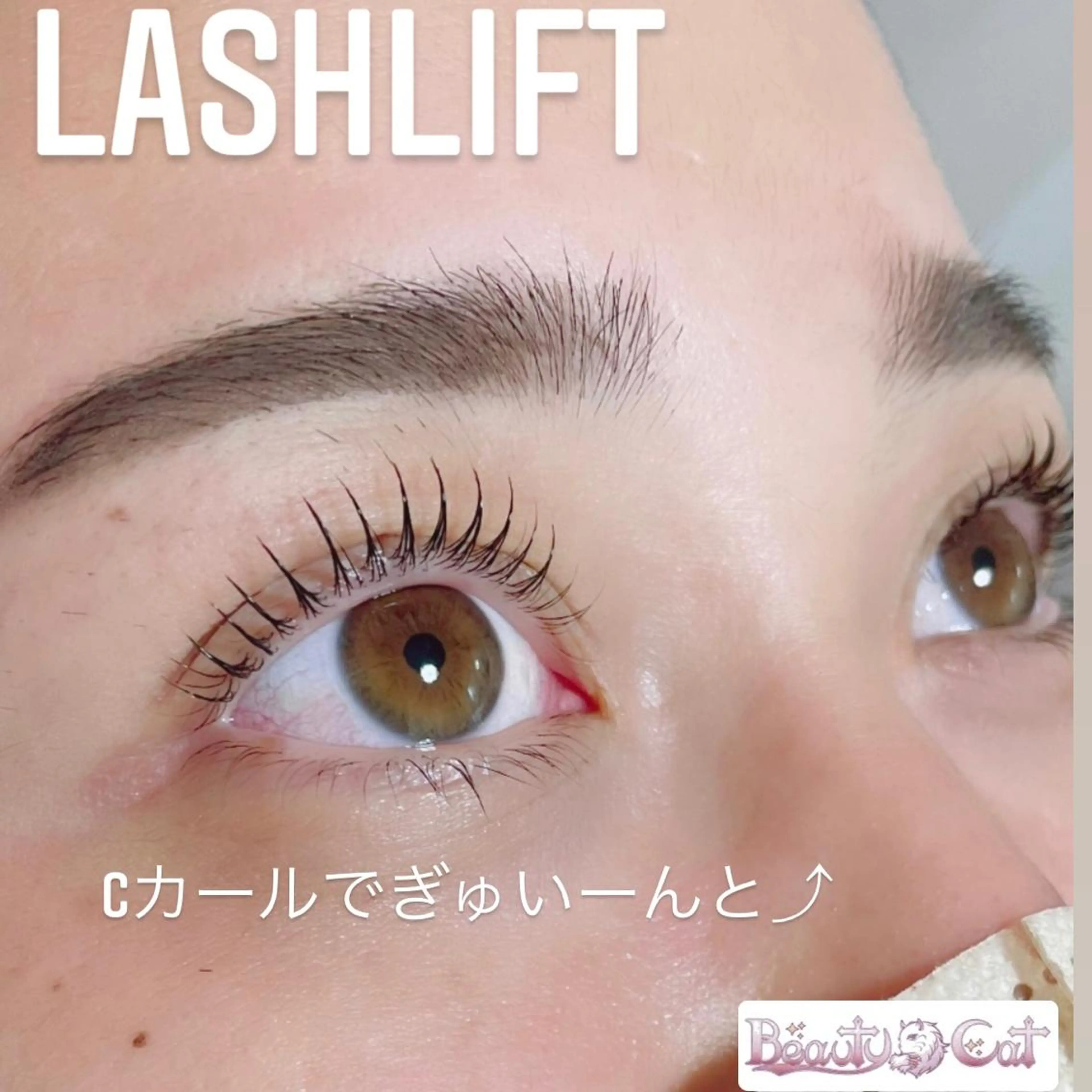 マツエク・マツパ マツパ Beautycat Chihiroのマツエク・マツパデザイン