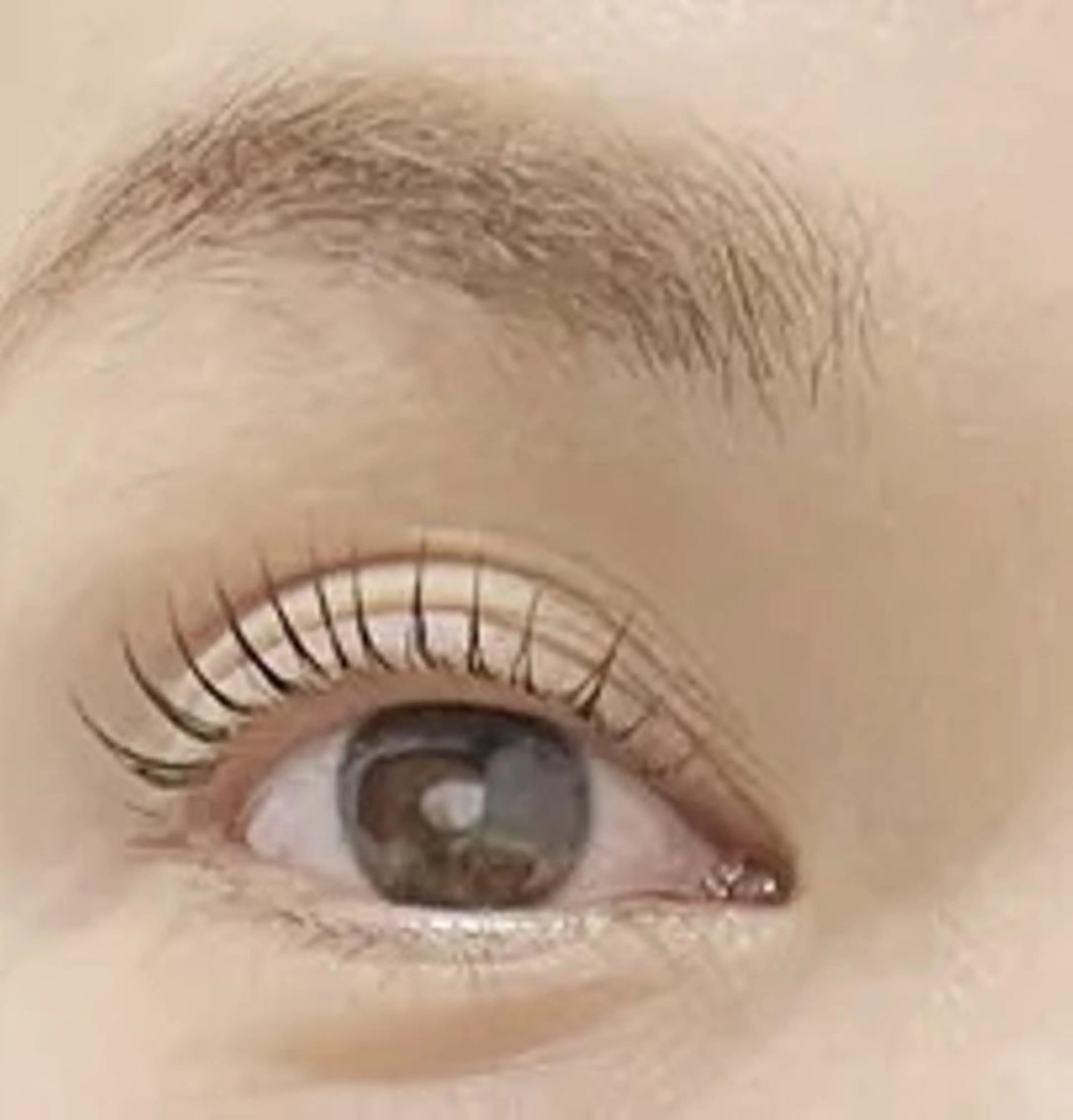 マツエク・マツパ T'enet  のマツエク・マツパデザイン