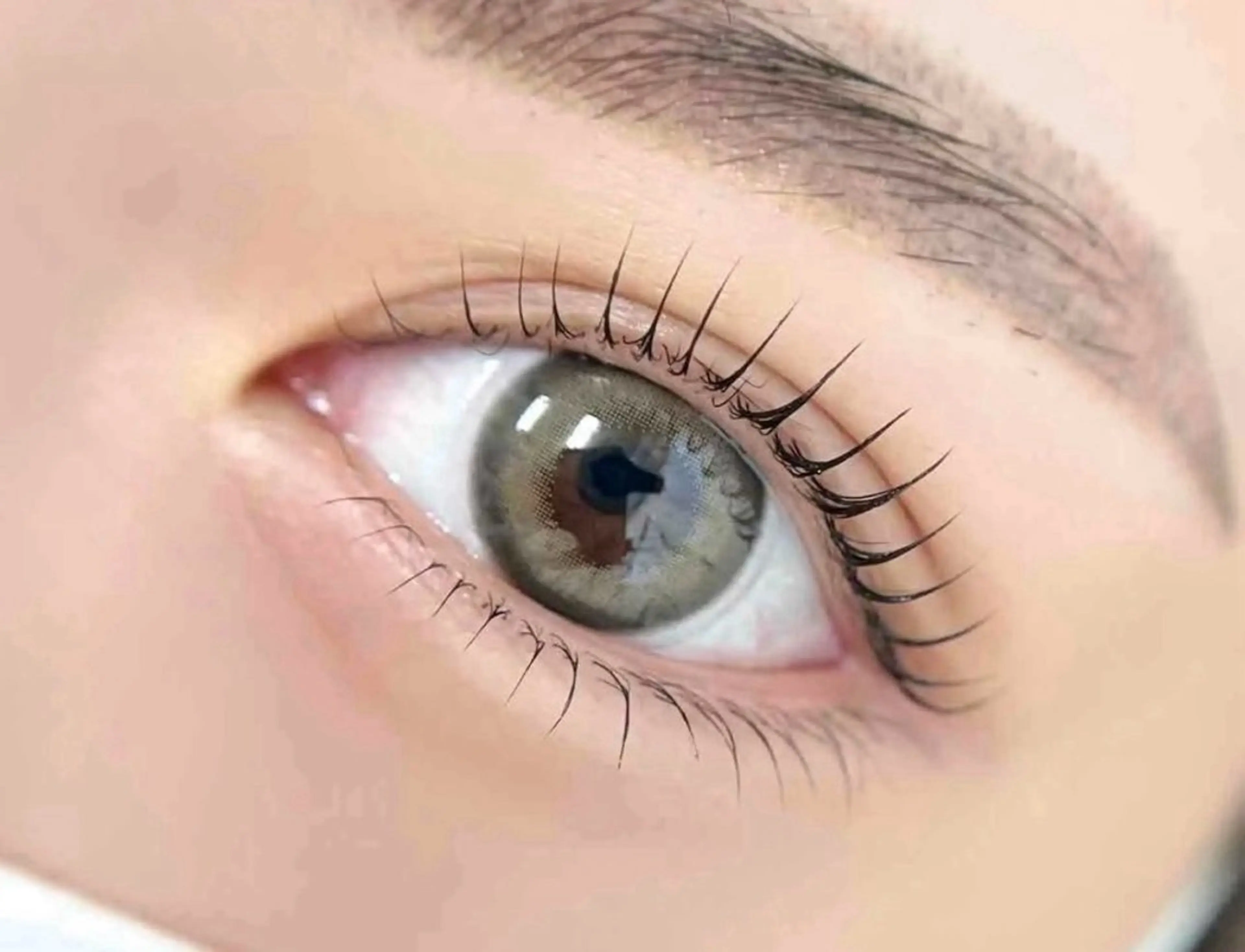 マツパ人気No.2♪次世代まつ毛パーマ＆韓国東感仕上げ！¥3980の写真