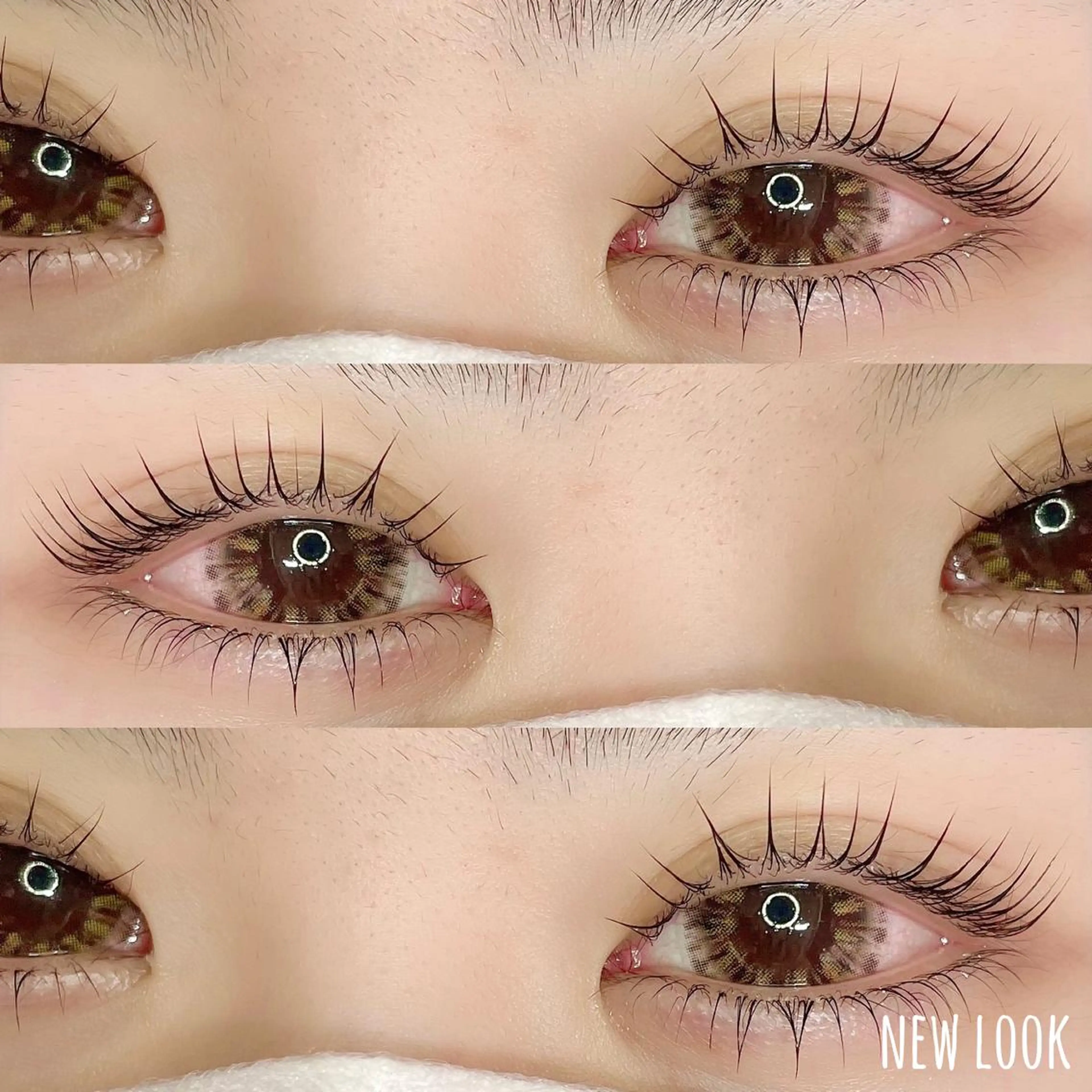 アイシャンプー付 🌿 下まつげパーマの写真