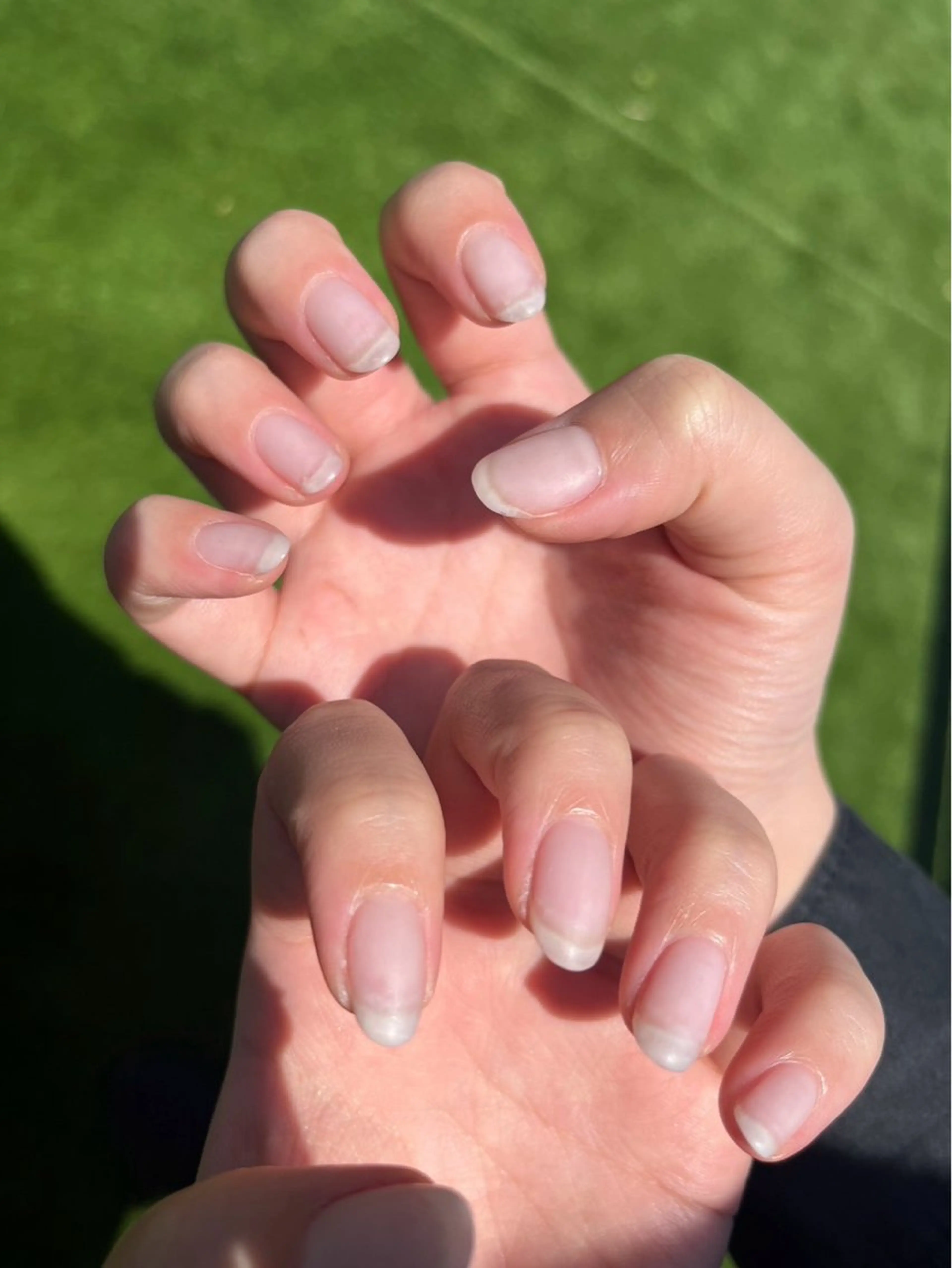 ネイル クリアネイル マットネイル ハンドネイル 中村 翠のネイルデザイン