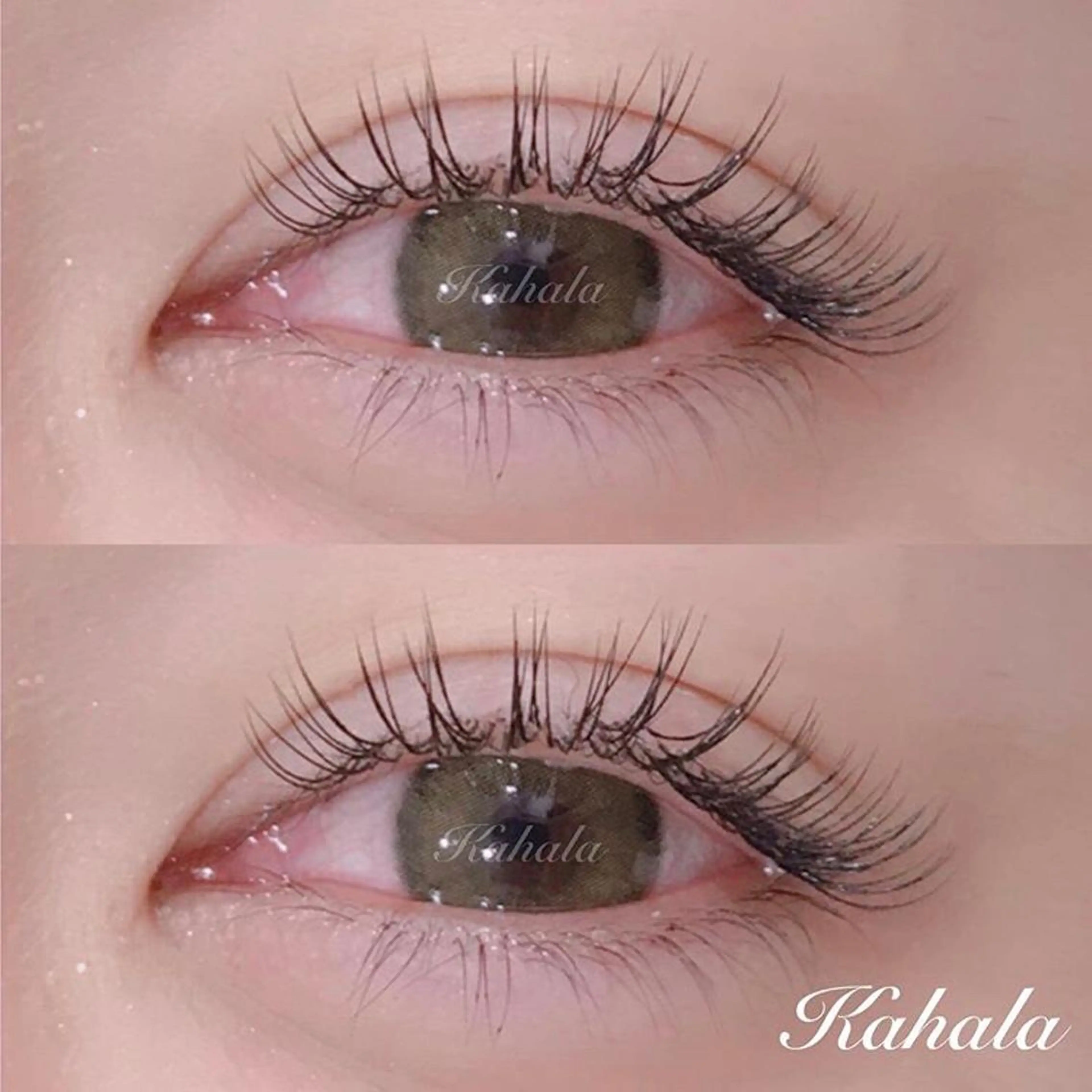 マツエク・マツパ マツエク Fujimoto 🦭⸝⋆꙳のマツエク・マツパデザイン