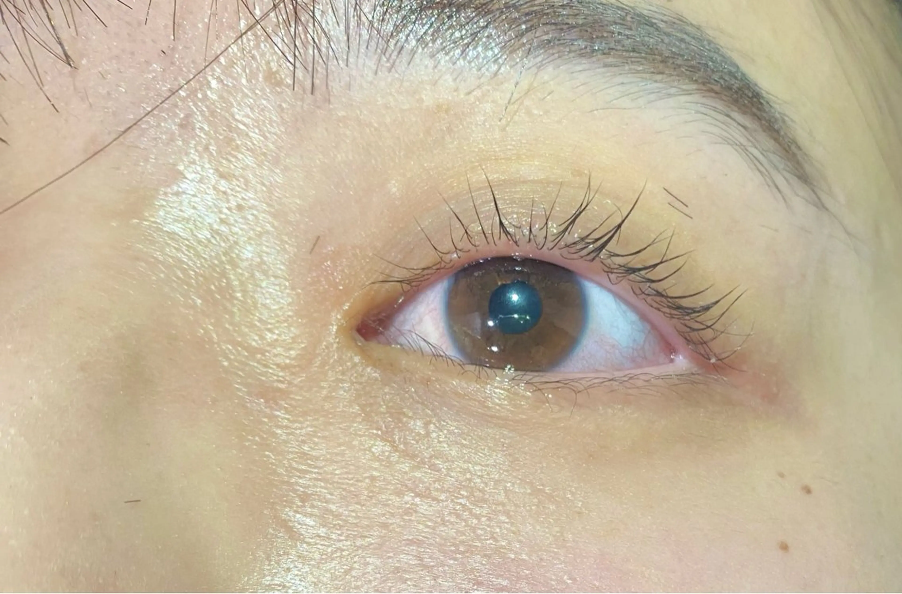 マツエク・マツパ オーガニックカラー/ 髪質改善/暗髪/ボブのヘアスタイル