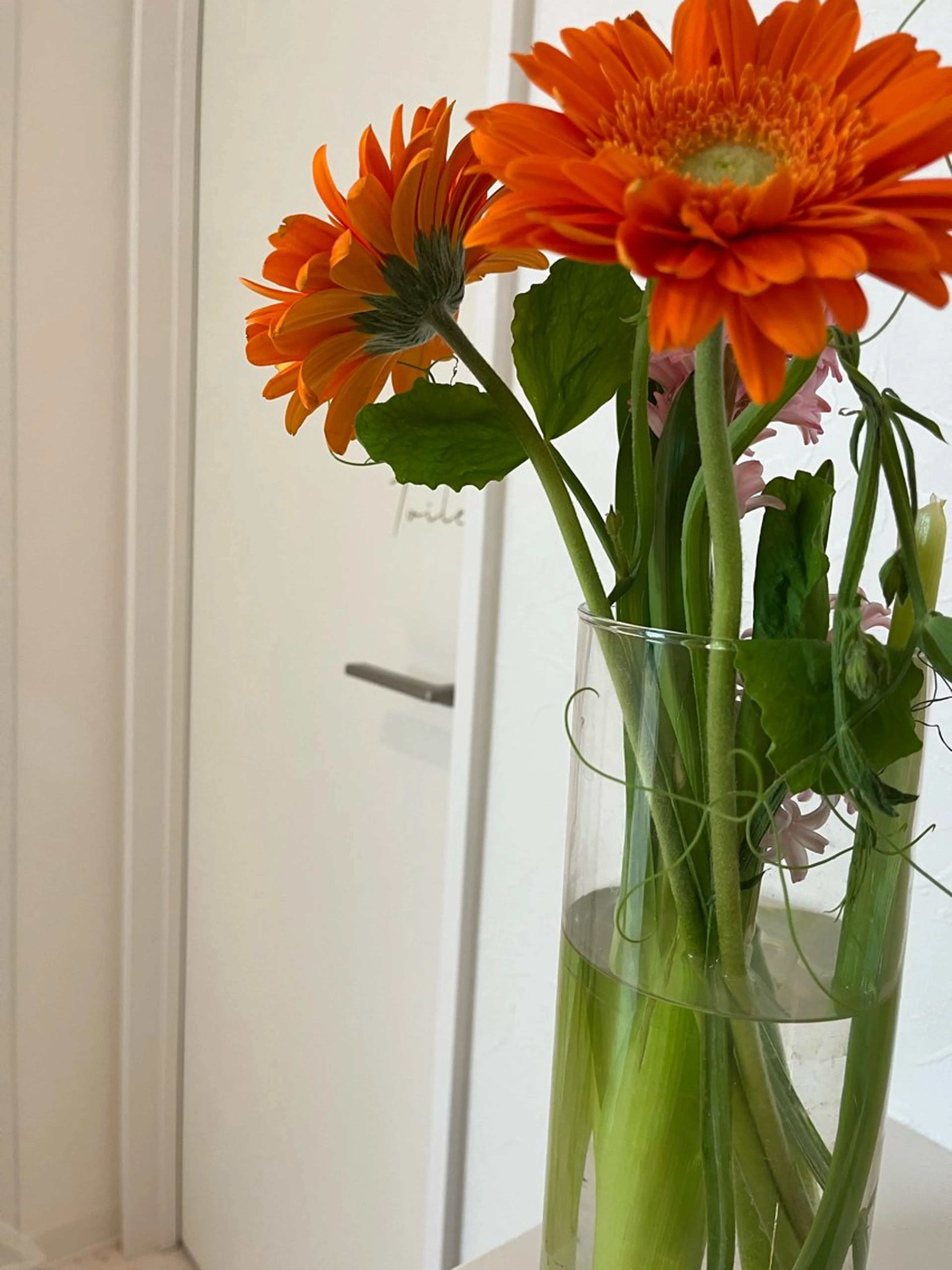 マツエク・マツパ loji所属・ナチュラル眉サロン 🌿lojiロジの眉毛・アイブロウイメージ