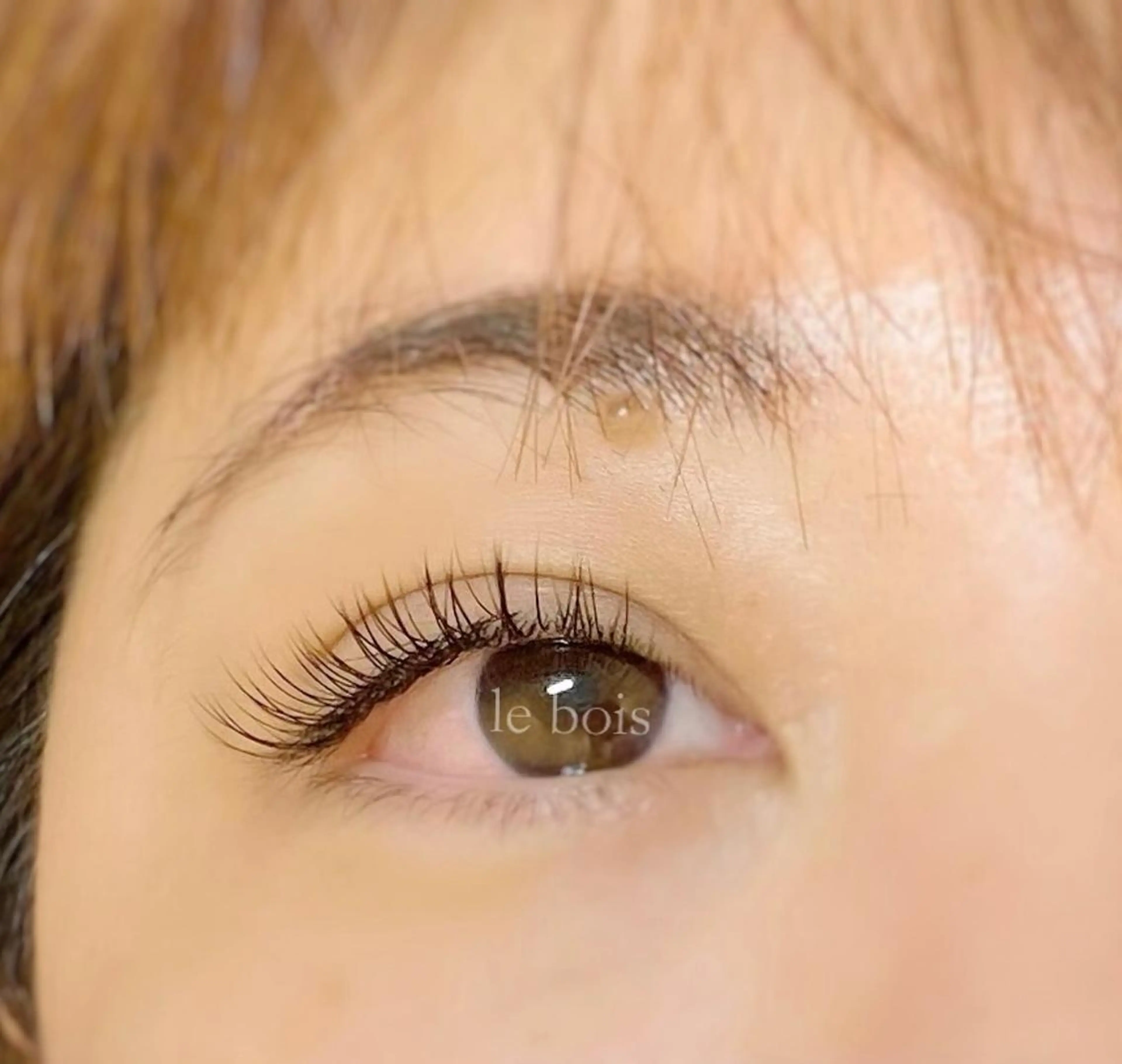 マツエク・マツパ カラーマツエク フラットラッシュ le boisのマツエク・マツパデザイン