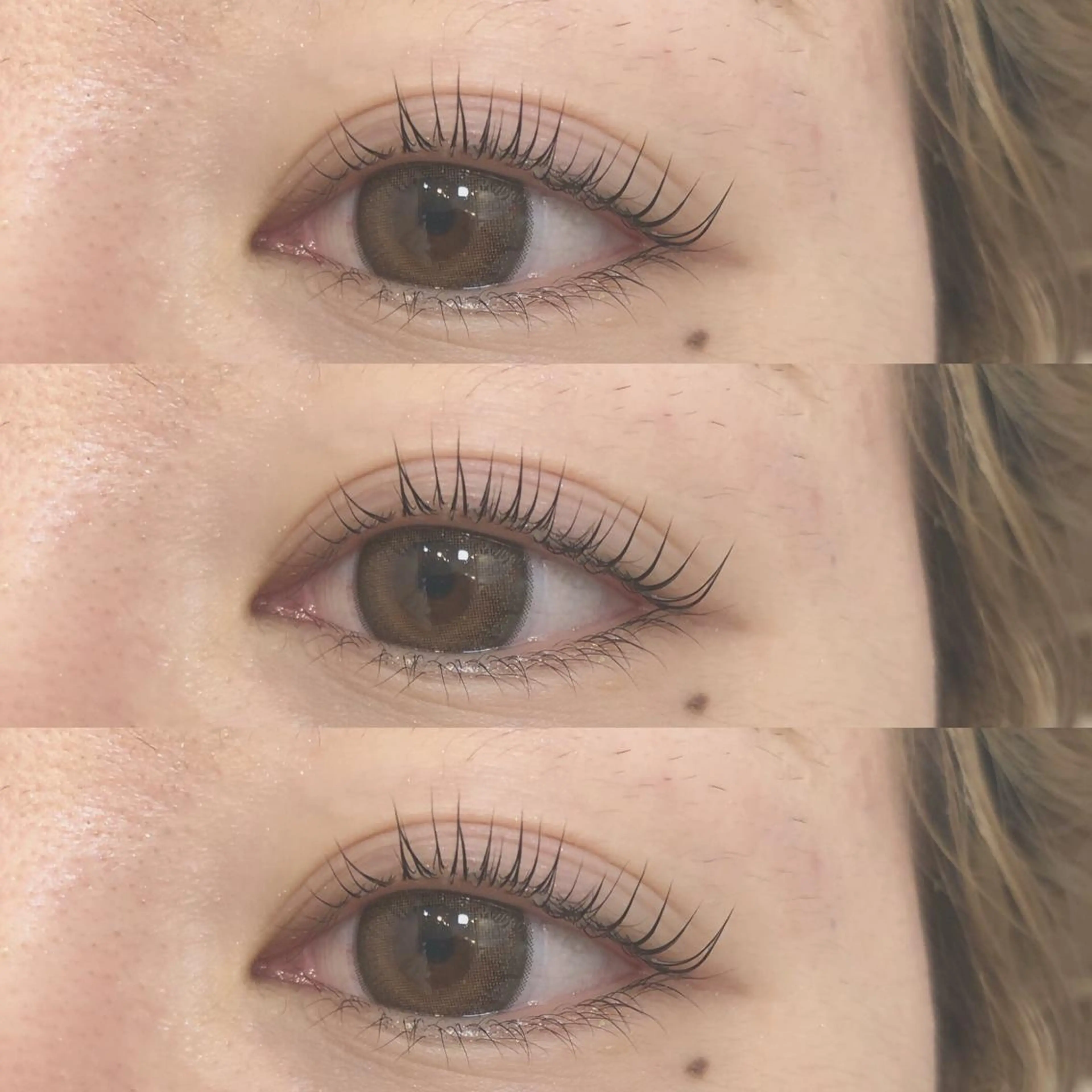 ラッシュリフト🌷ご新規限定🌷の写真