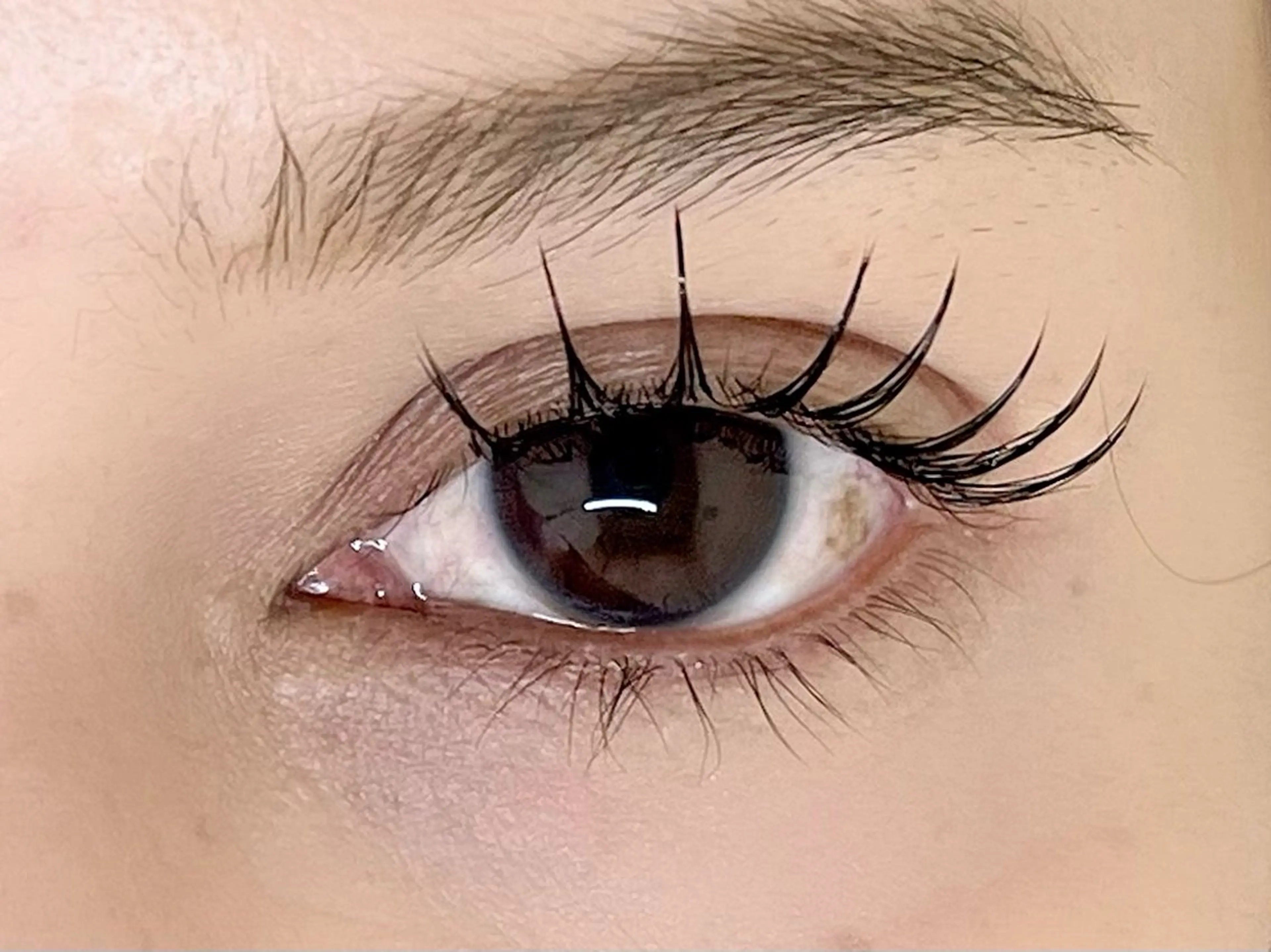 マツエク・マツパ 村上 彩華の眉毛・アイブロウイメージ