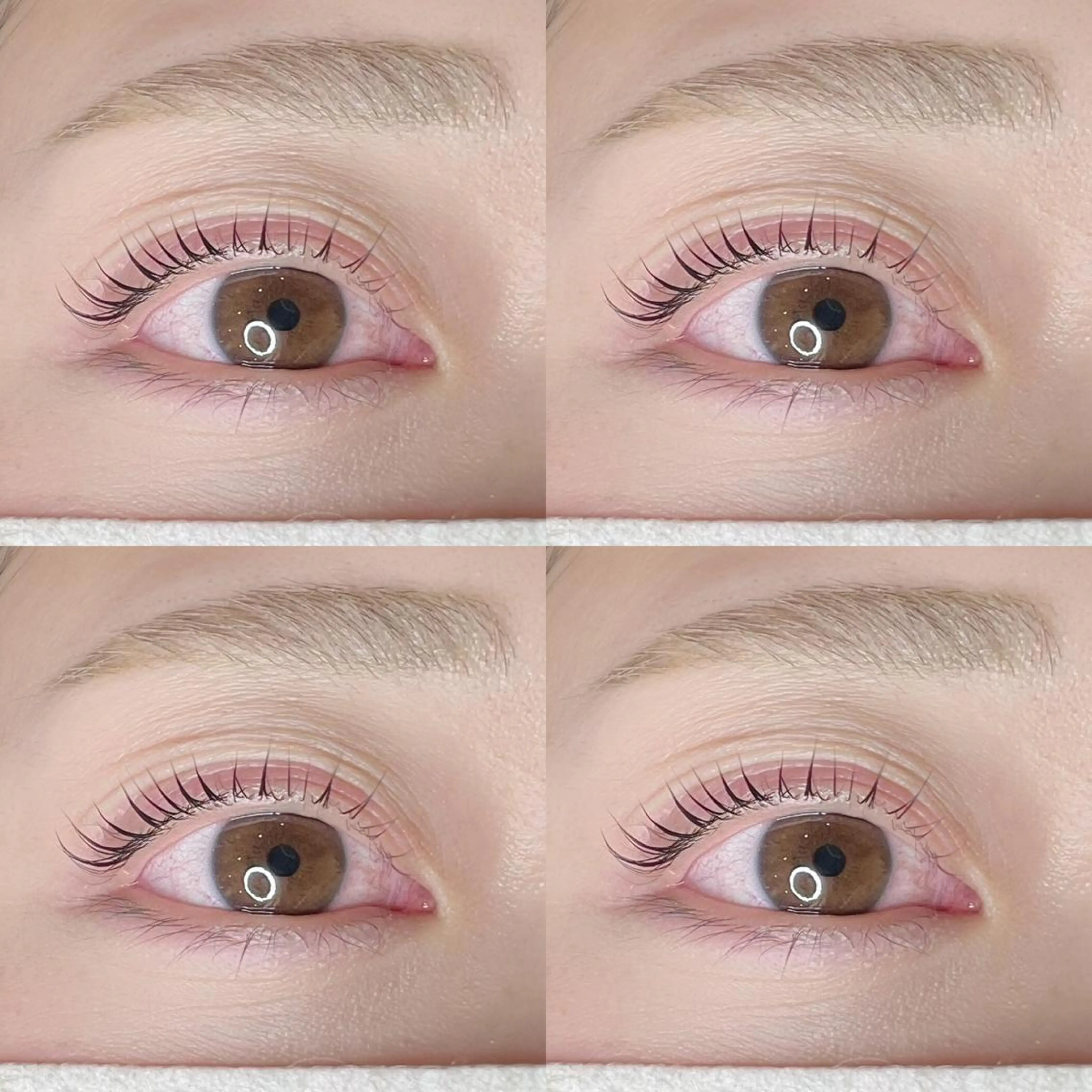 マツエク・マツパ Millie ainee 店長　神のマツエク・マツパデザイン