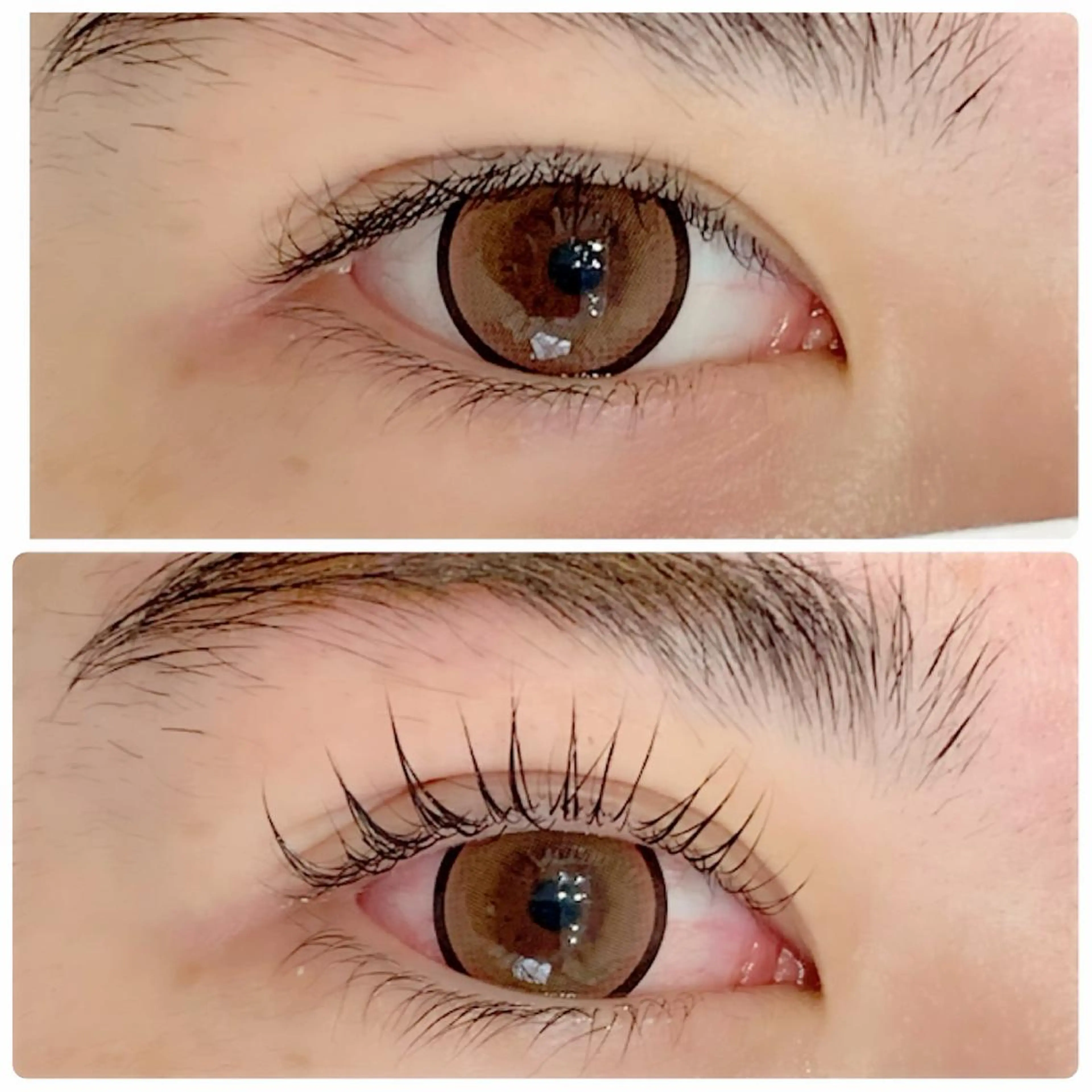 マツエク・マツパ マツパ Beaute MOTOKOのマツエク・マツパデザイン