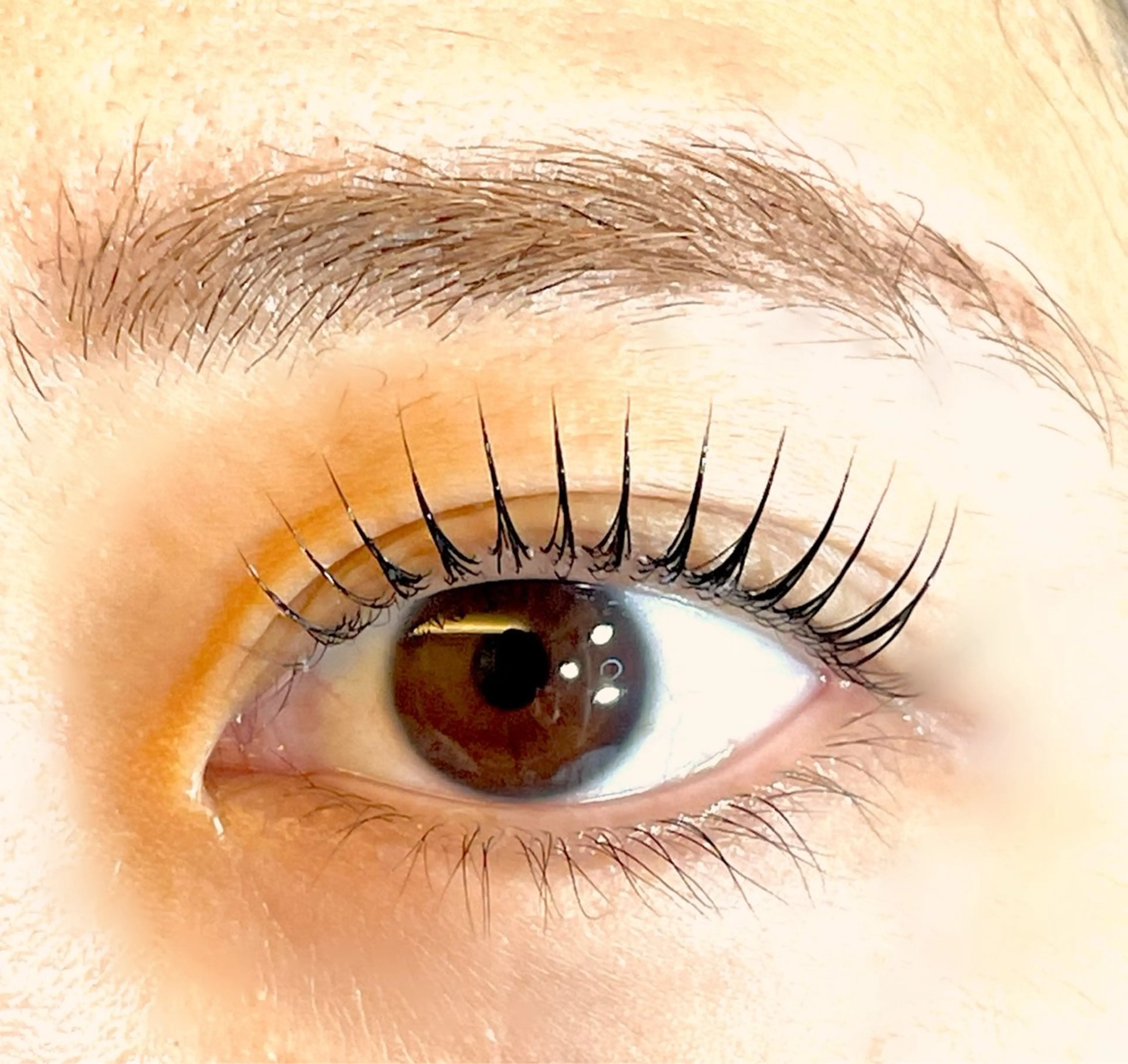 【期間限定】似合わせまつ毛パーマ🫧6500円→3980円現金払いのみとなりますの写真