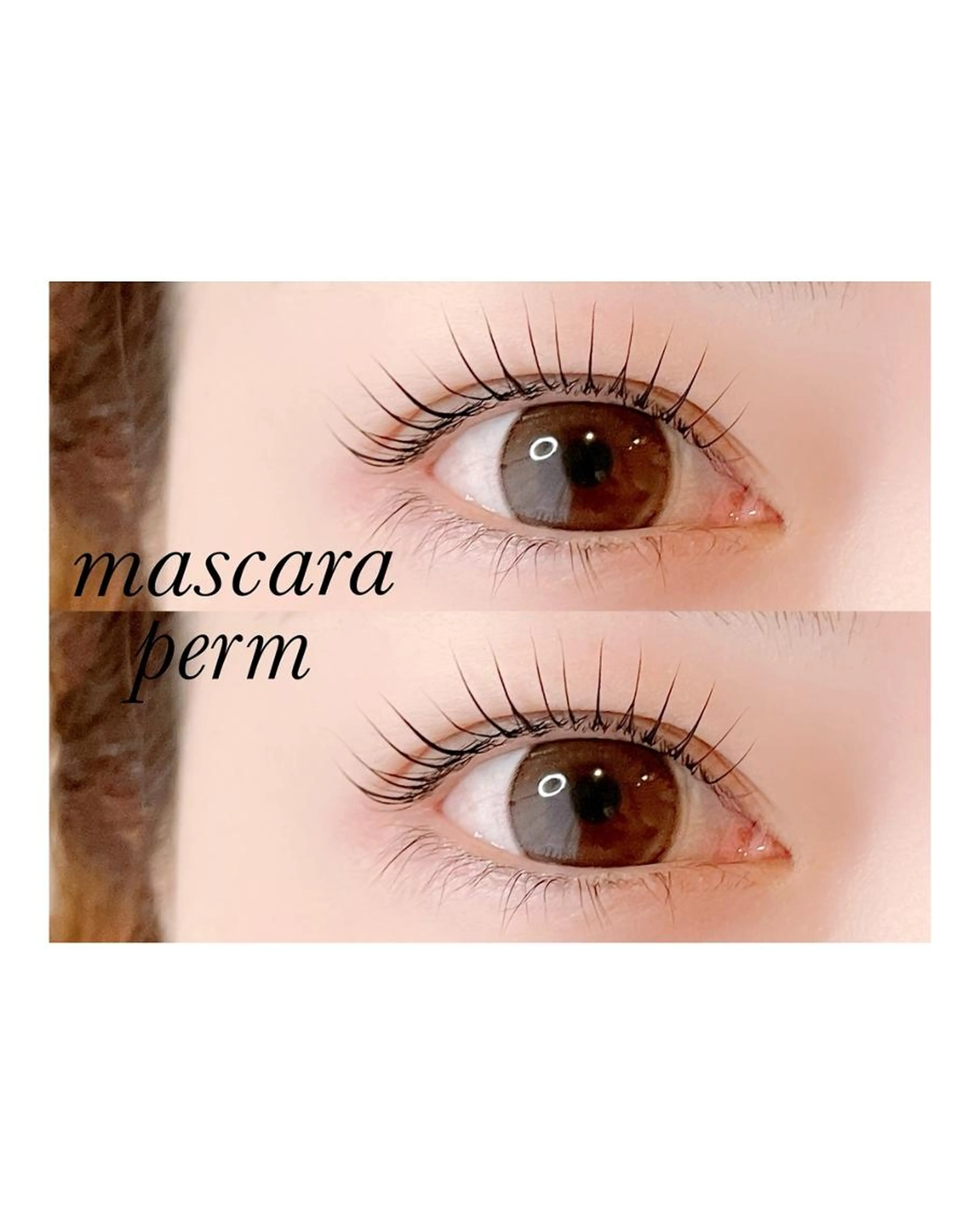 自まつ毛を濃くしたい方に✨✨【話題のマスカラパーマ】似合わせまつげパーマ＋ブラックティントの写真