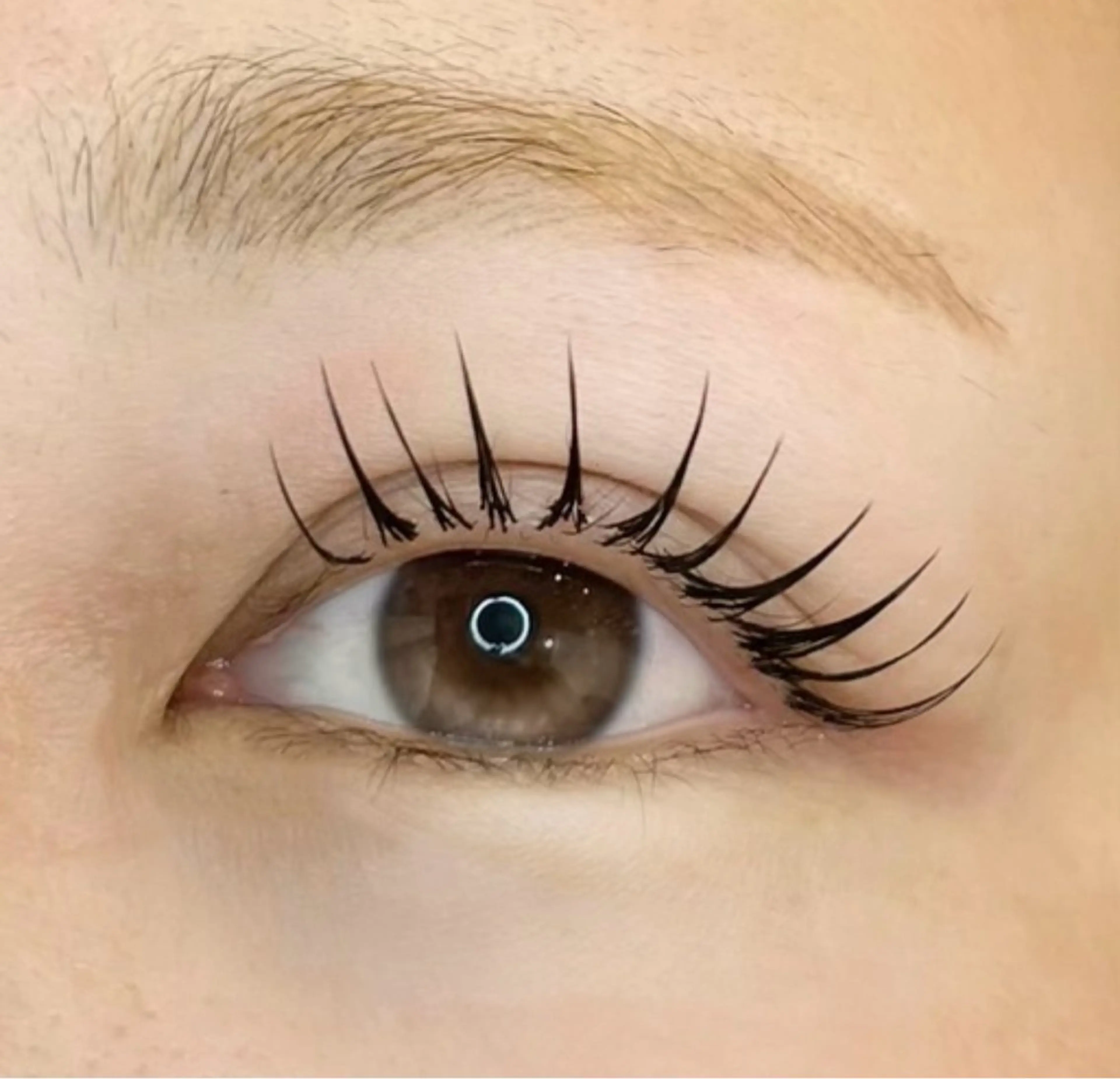 フラットラッシュ160本【オフ込み】の写真