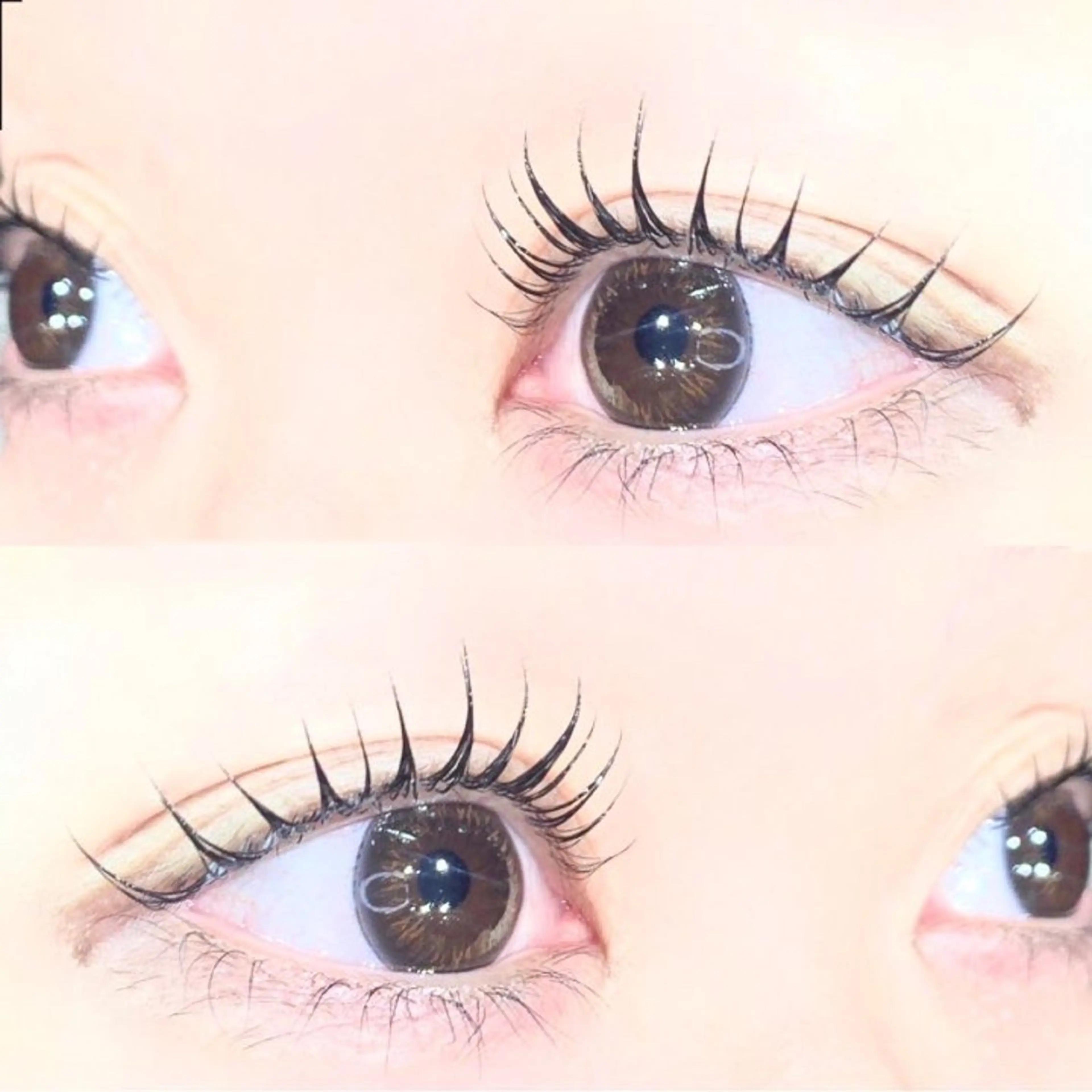 🌱ご新規様限定🌱フラットラッシュ100本まで（上のみ）☆オフ無料の写真