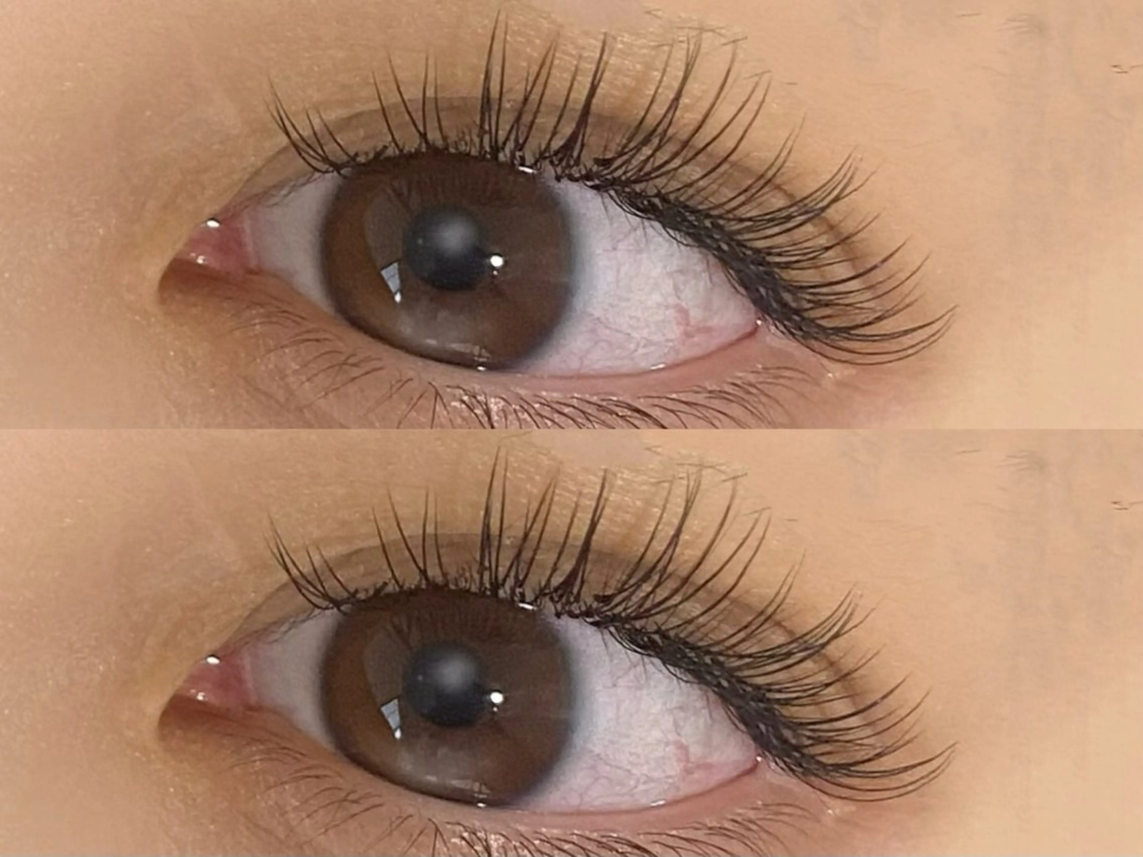 マツエク・マツパ マツエク 💎マツエク/眉毛 パリジェンヌ渋谷💎の眉毛・アイブロウイメージ