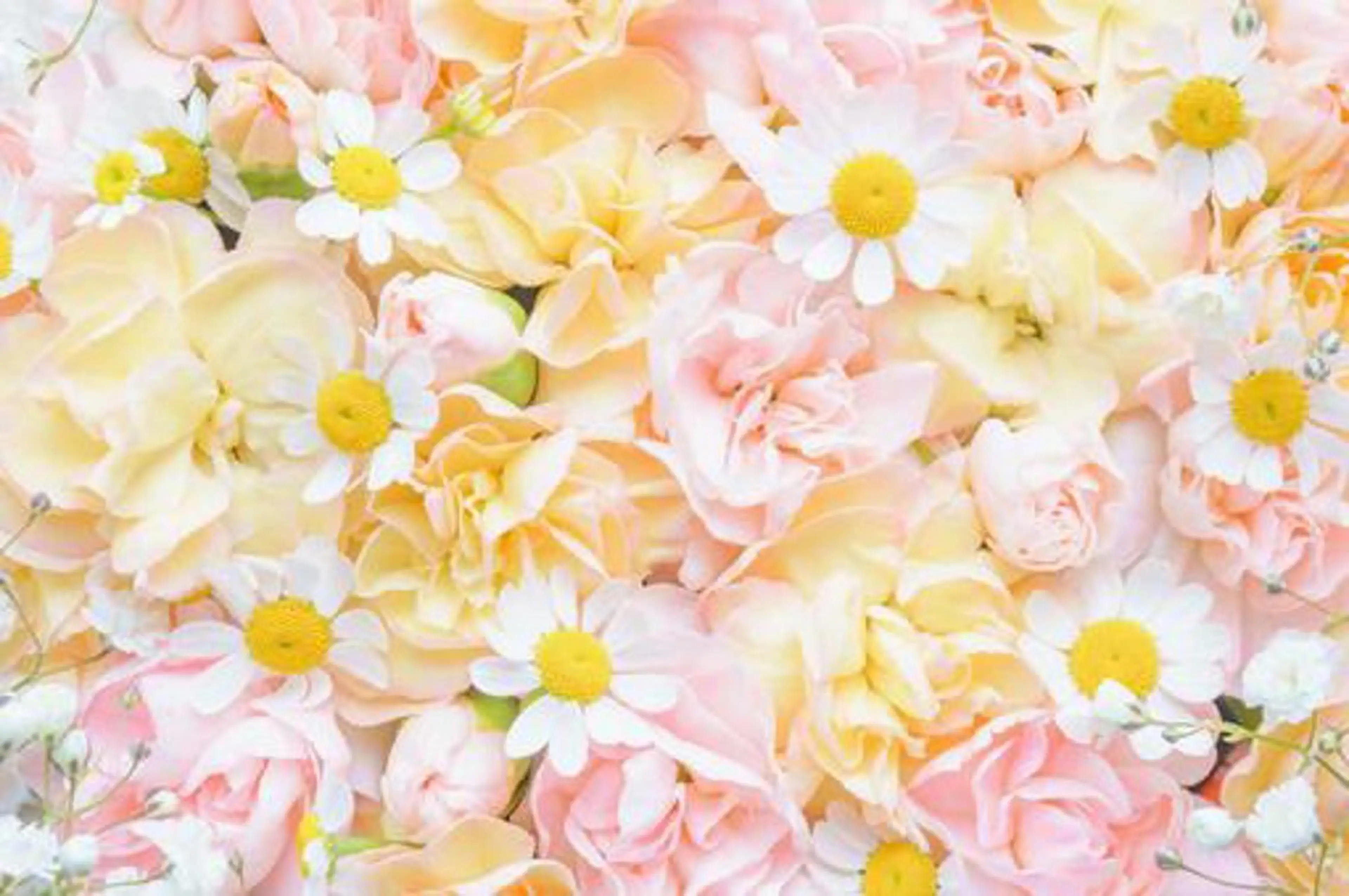 Salon'sDoo Nのネイルデザイン