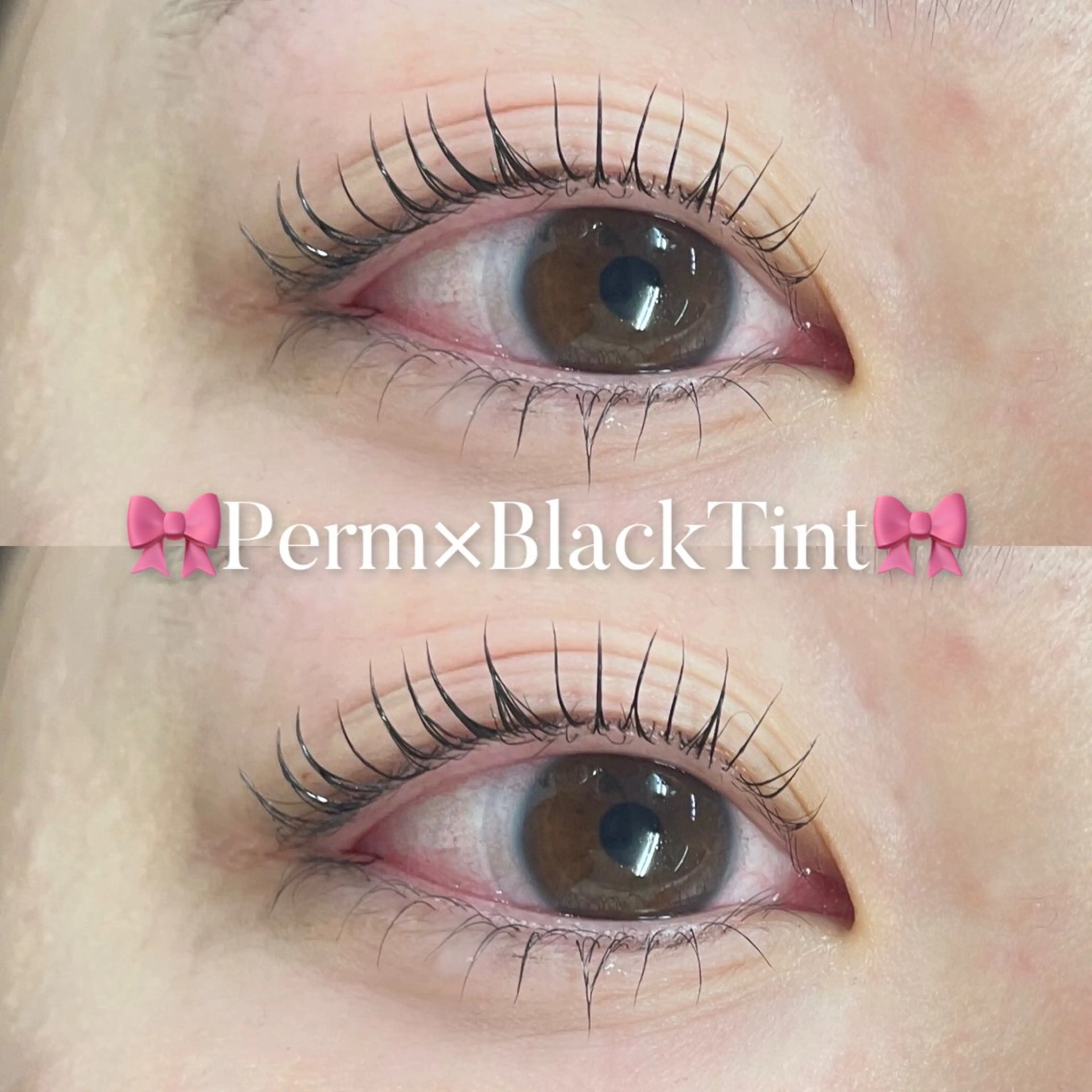 話題✨️韓国発🇰🇷【マスカラパーマ】まつ毛パーマ(上)×ブラックティント🖤高円寺/中野/阿佐ヶ谷🕊️の写真