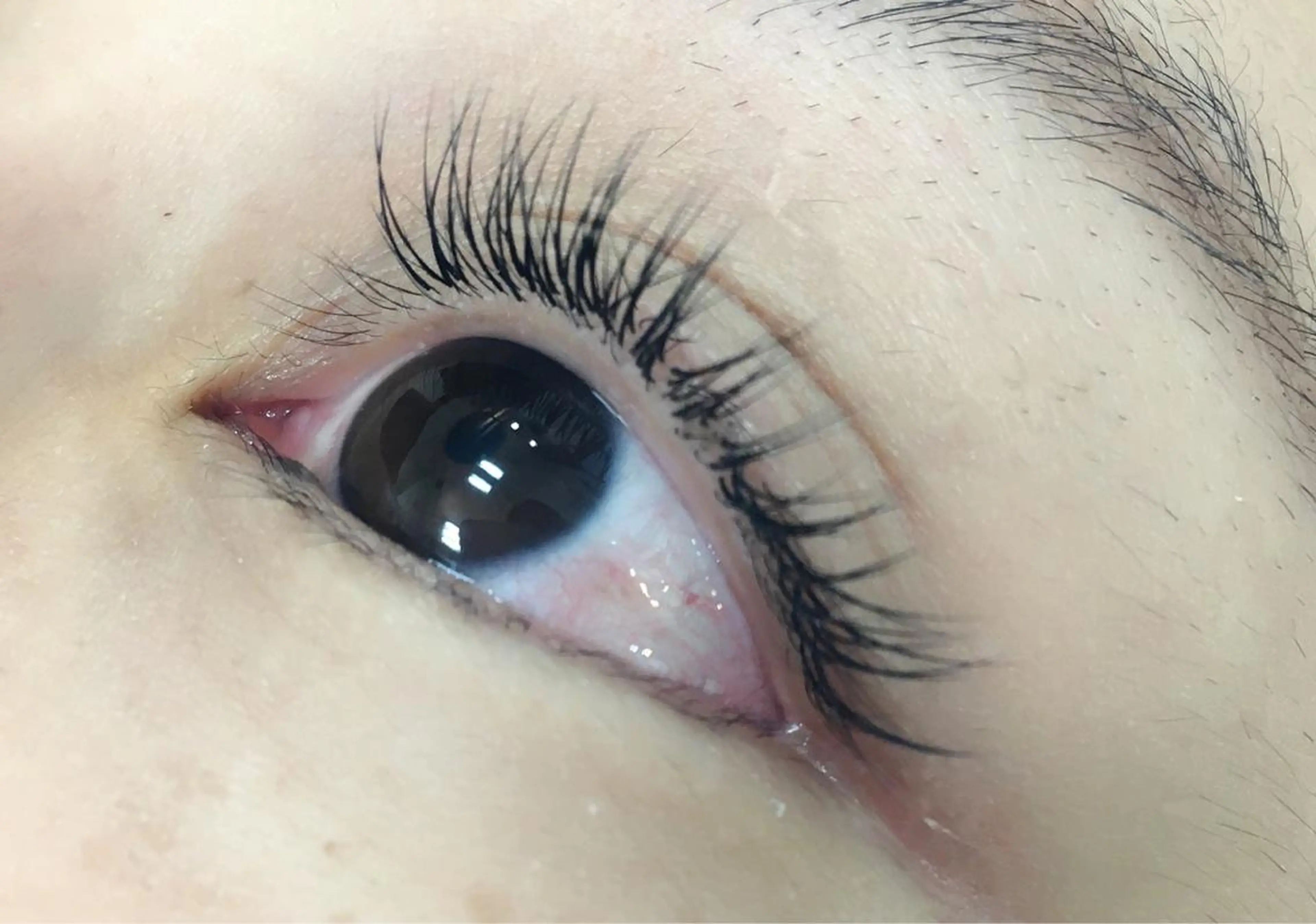 マツエク・マツパ Jカール ナチュラル K.Rise nail＆eye所属・sawada seinaのマツエク・マツパデザイン