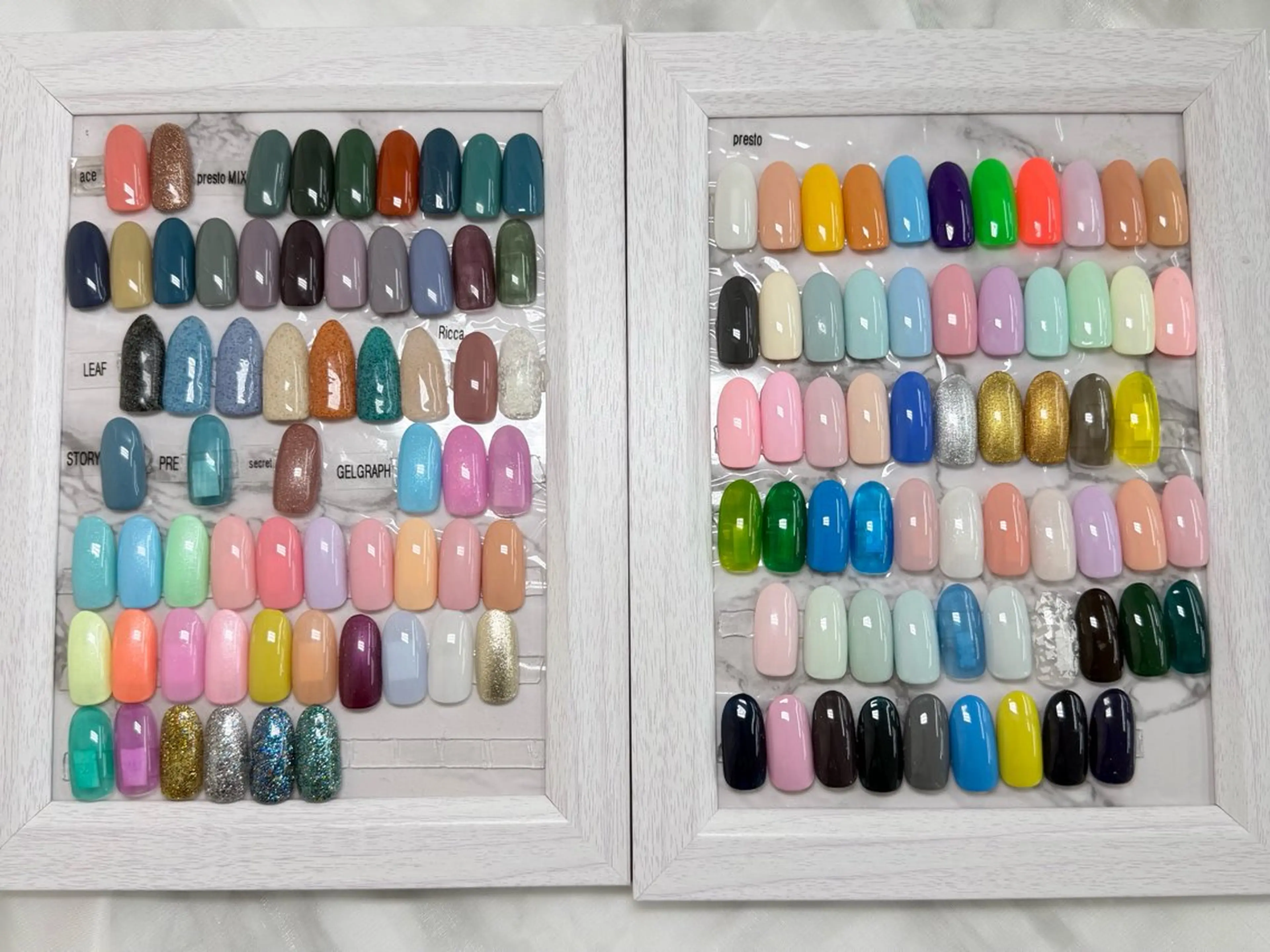 なくなり次第終了限定カラー★ワンカラーの写真