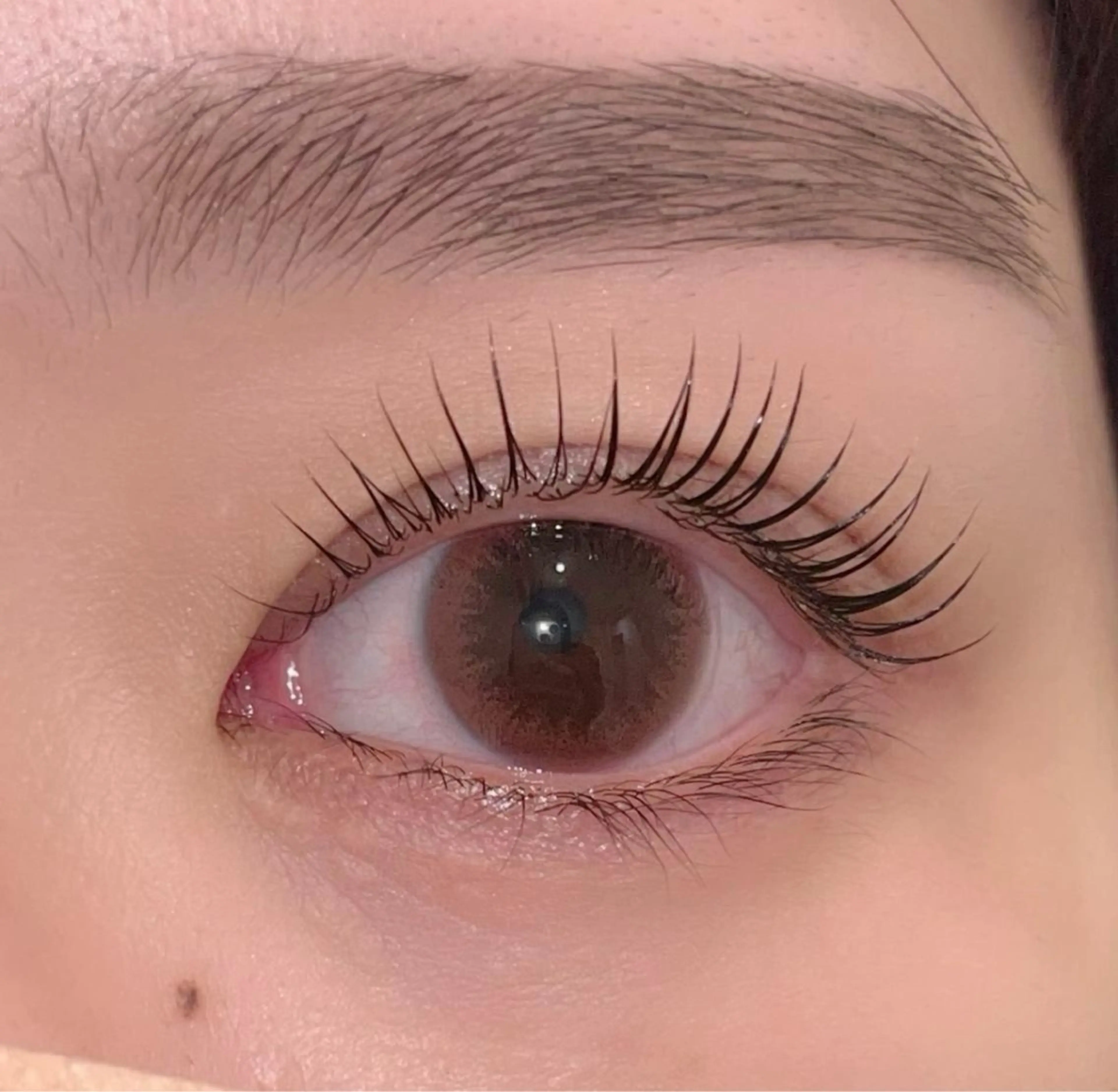 マツエク・マツパ マツパ 表参道駅徒歩2分🫧 まつげパーマ/Emiのマツエク・マツパデザイン