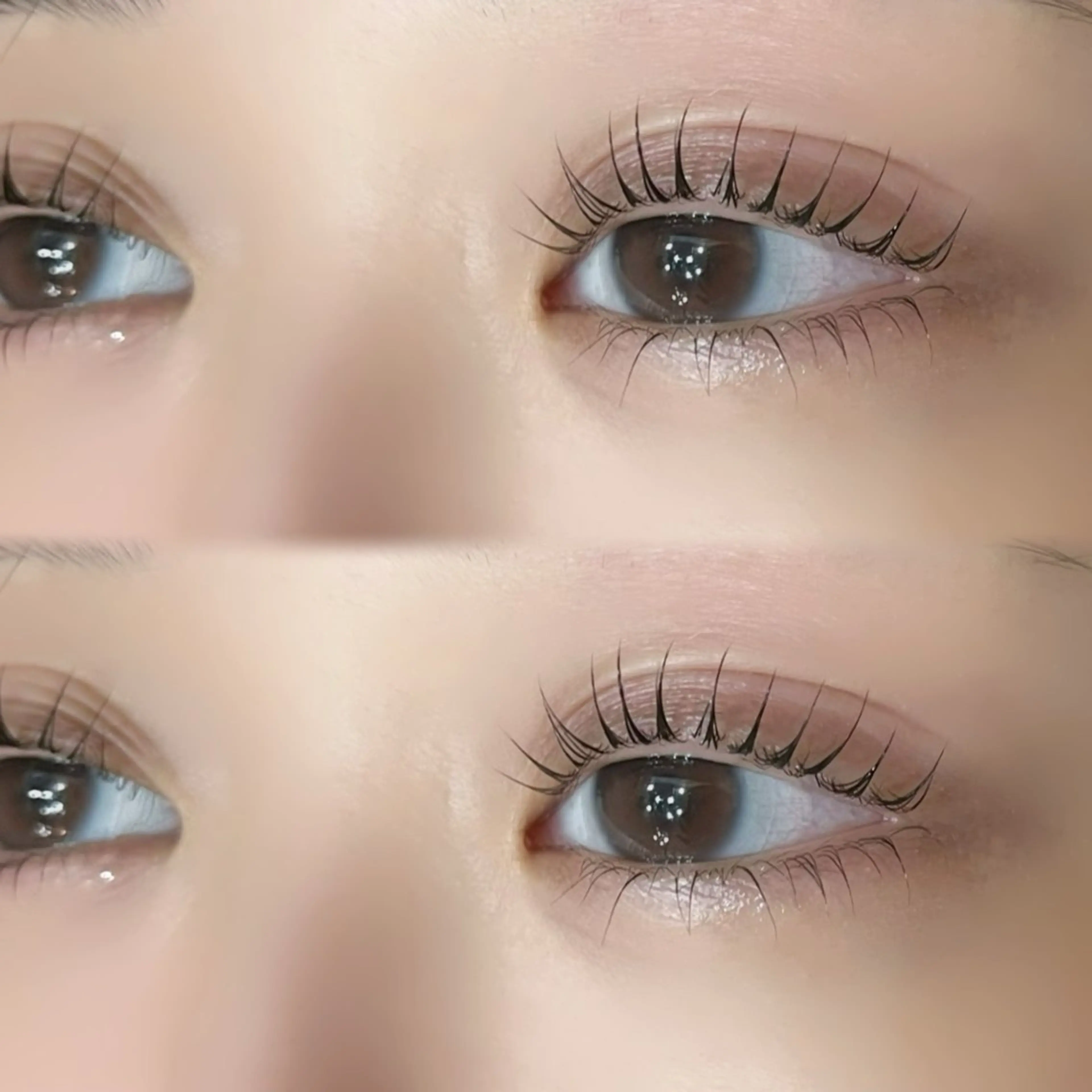 【ご新規様限定価格✨️】🎀上下setまつ毛パーマ🎀🐇の写真