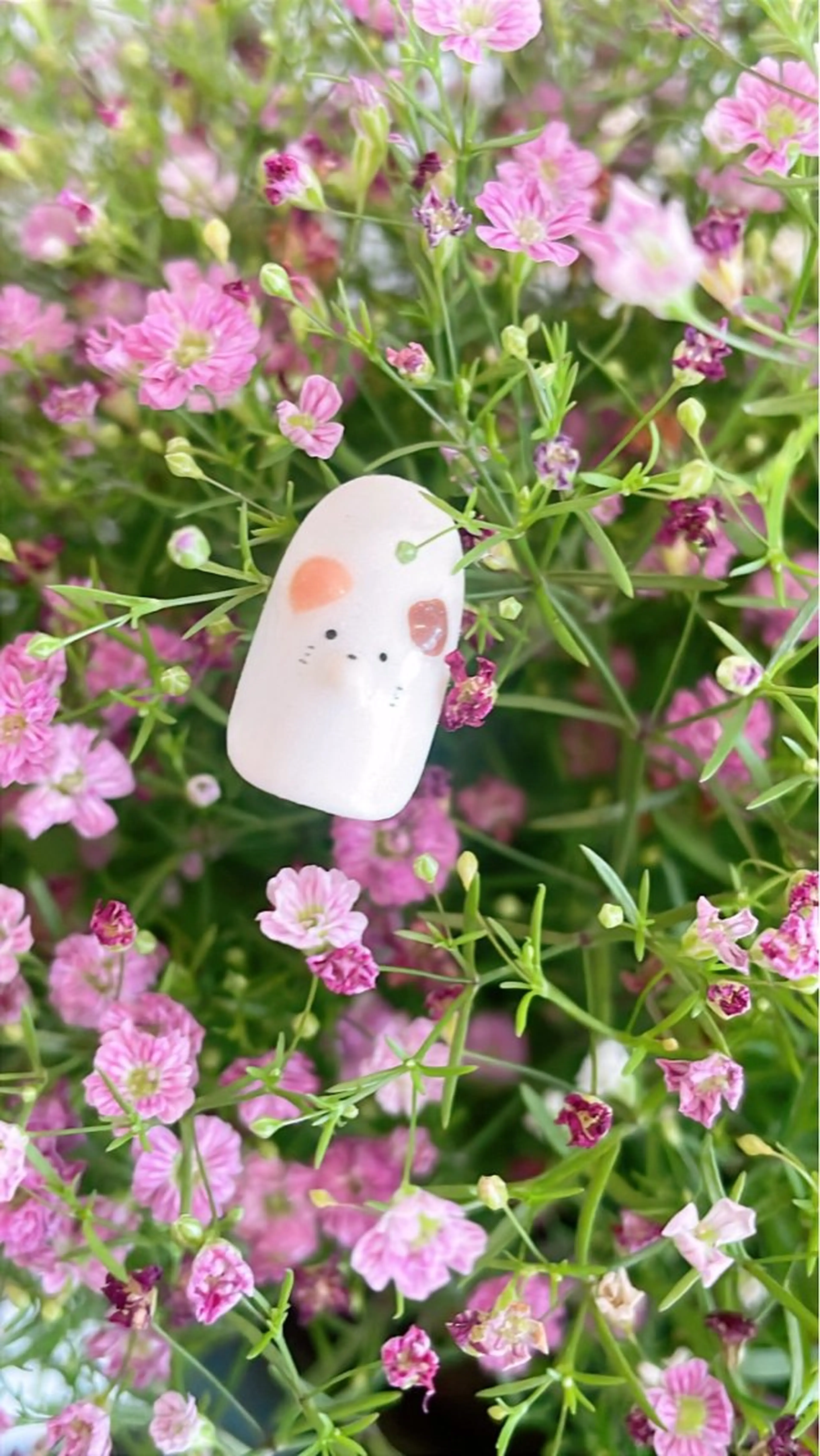 【ジェル】クリアのみ《オフ込み》の写真