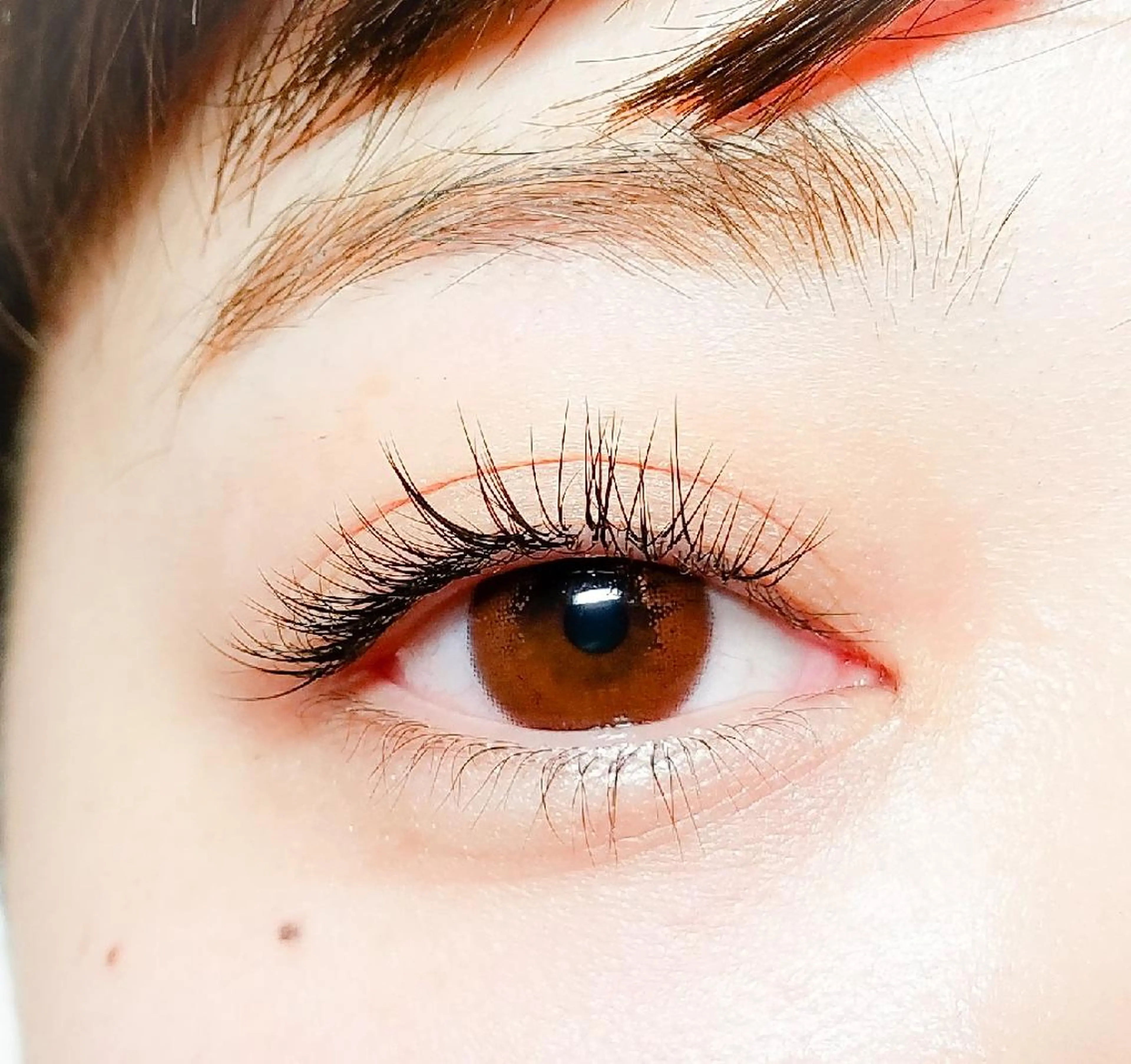 マツエク・マツパ アップワードラッシュ アイラッシュ コペル【Copel】所属・個室サロンcopel 　kishimotoのマツエク・マツパデザイン