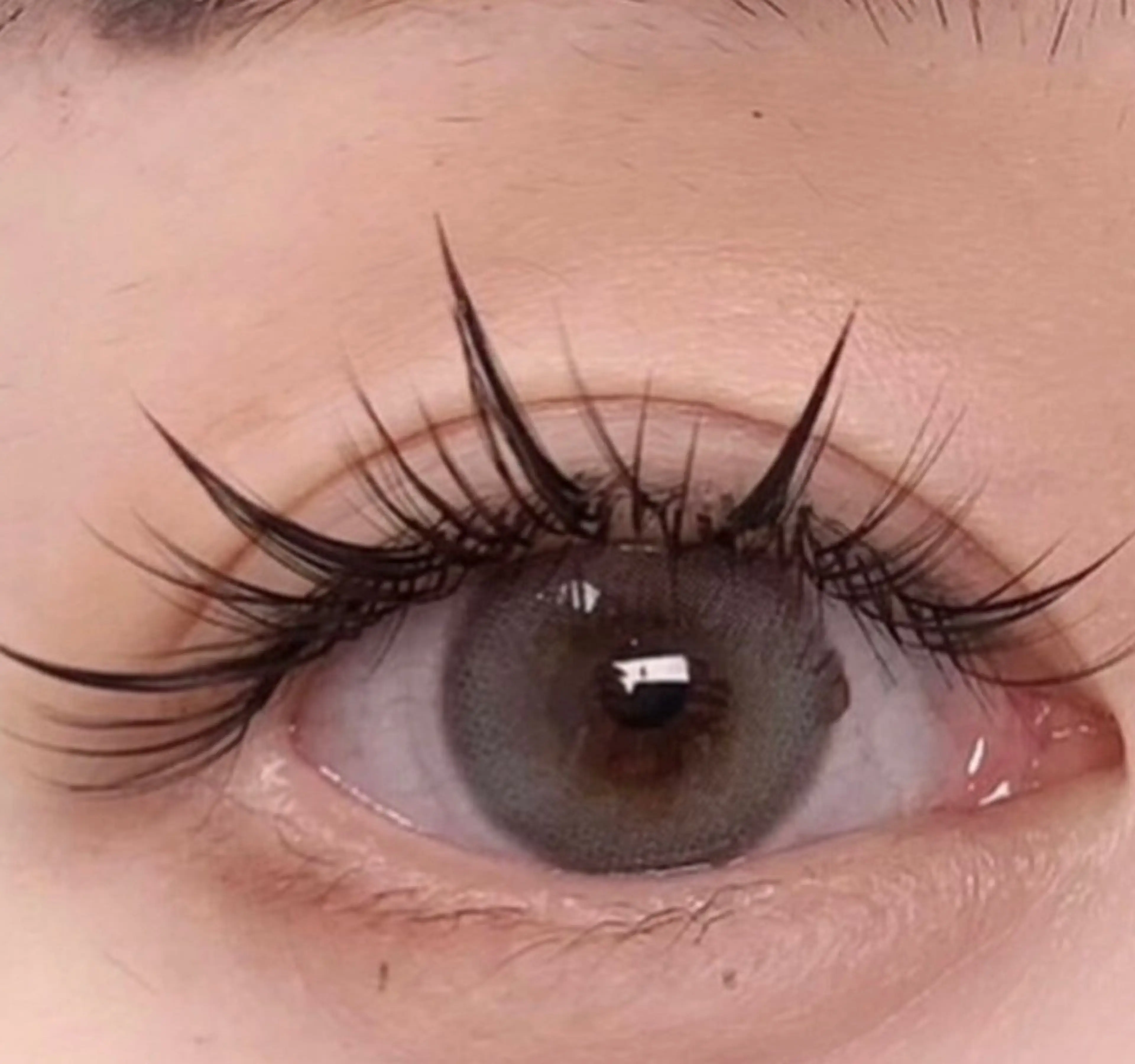 【Hybrid ボリュームラッシュ】話題沸騰★ワンホンナチュラル 100束★オフ込みの写真