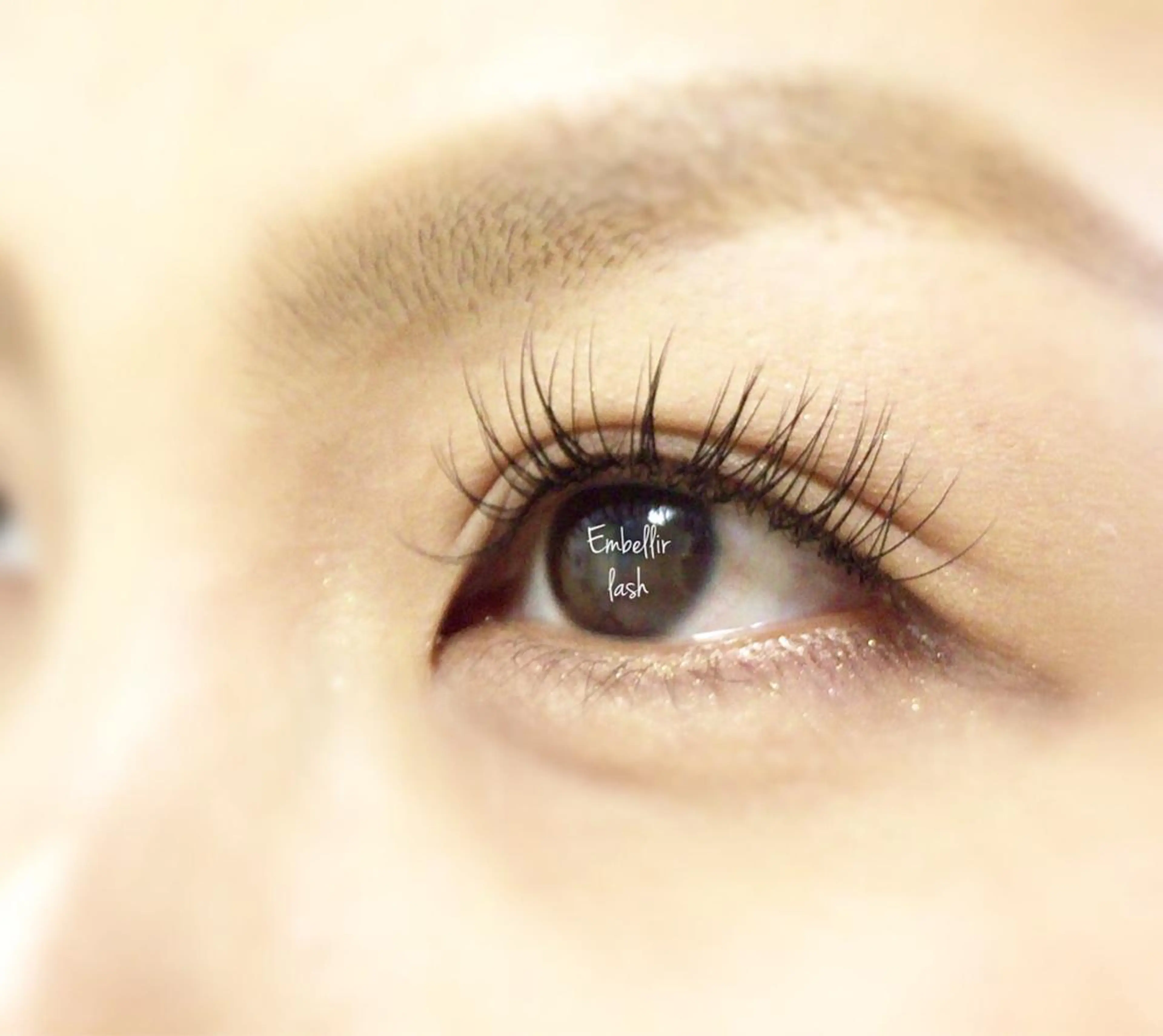 マツエク・マツパ アンベリイルラッシュ所属・まつエク・パーマ アンベリイルラッシュのマツエク・マツパデザイン