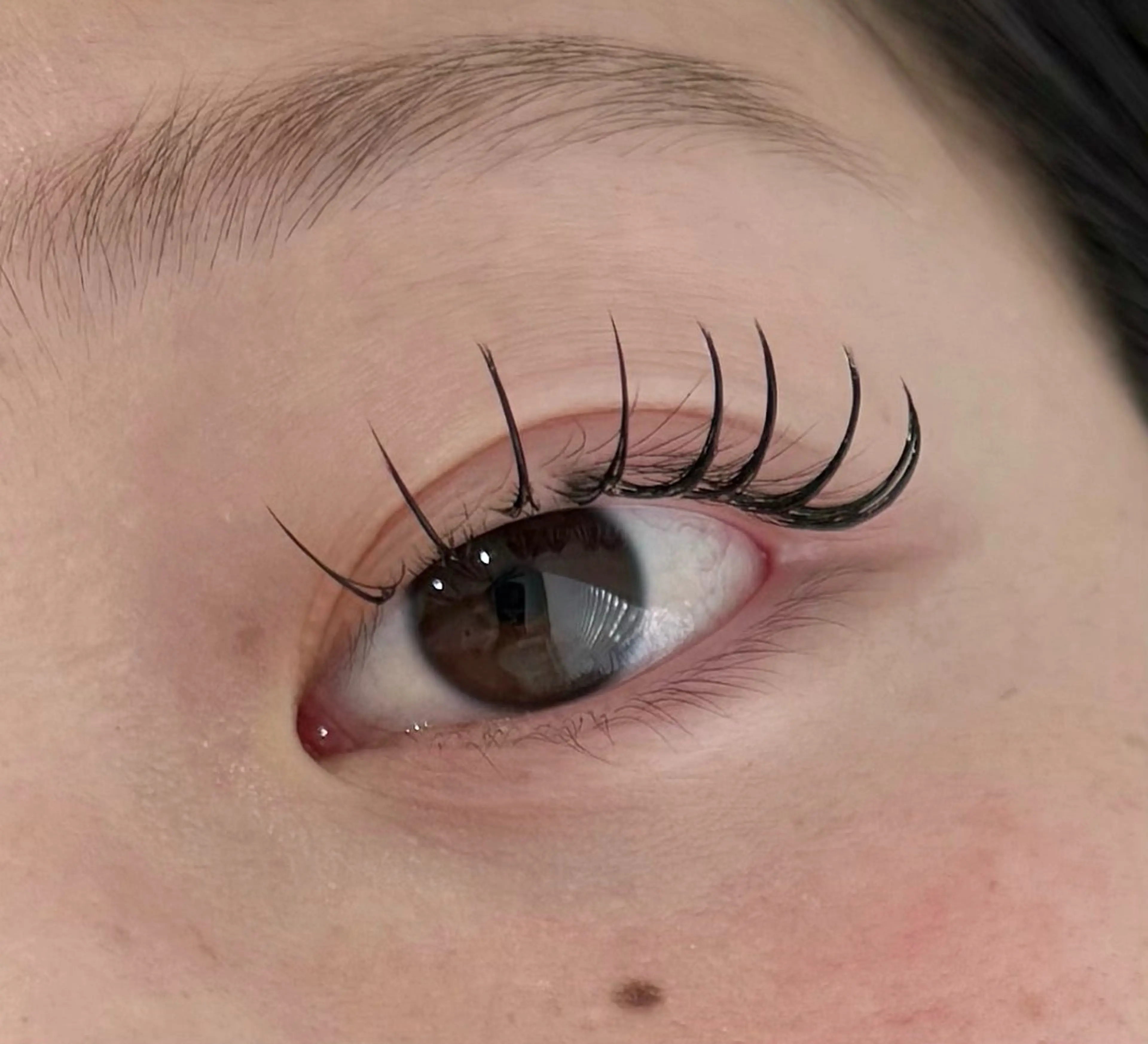 マツエク 120本🩵初回オフ込み 特別価格🩵の写真