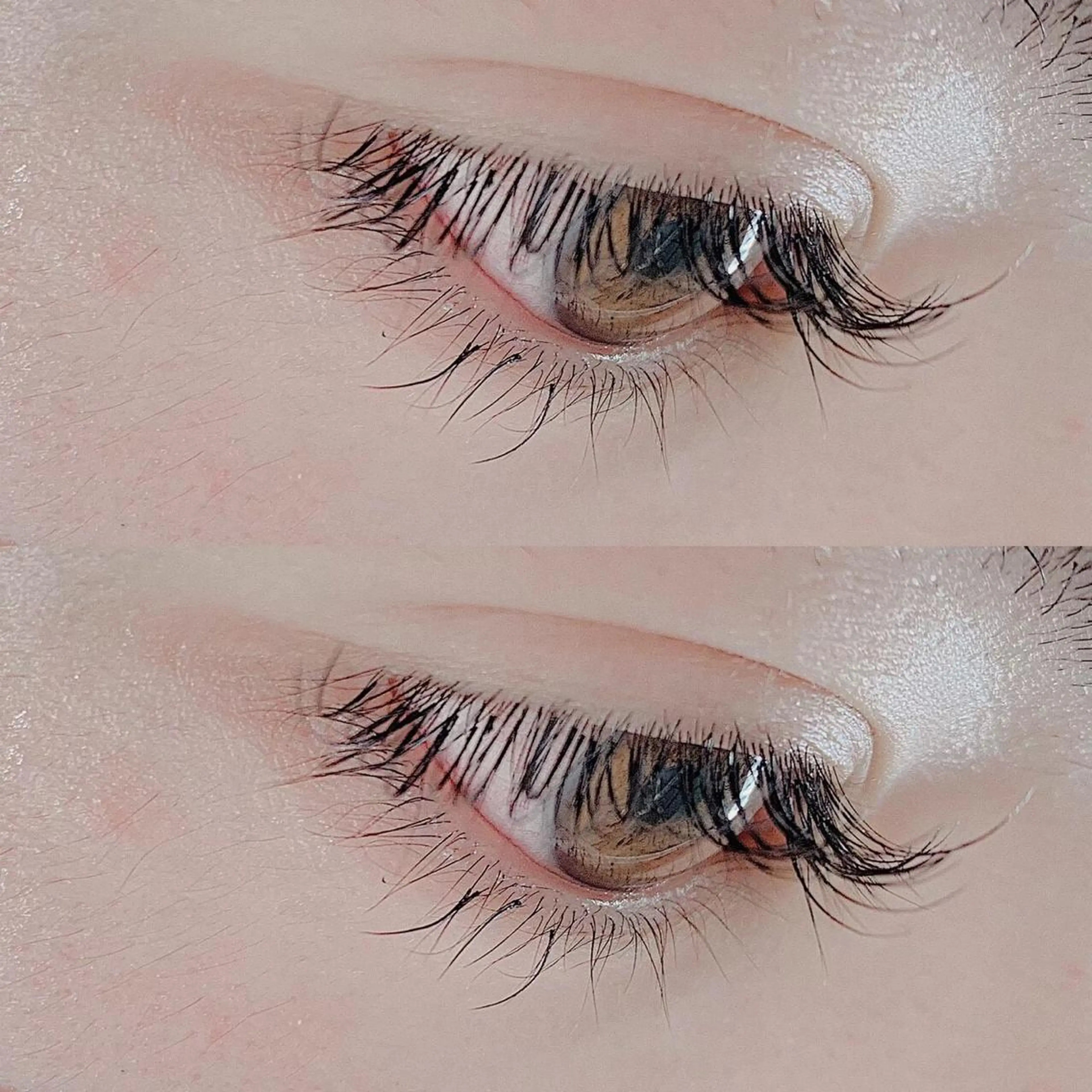 マツエク・マツパ レイヤー×顔周 り×髪質改善/MIUのヘアスタイル