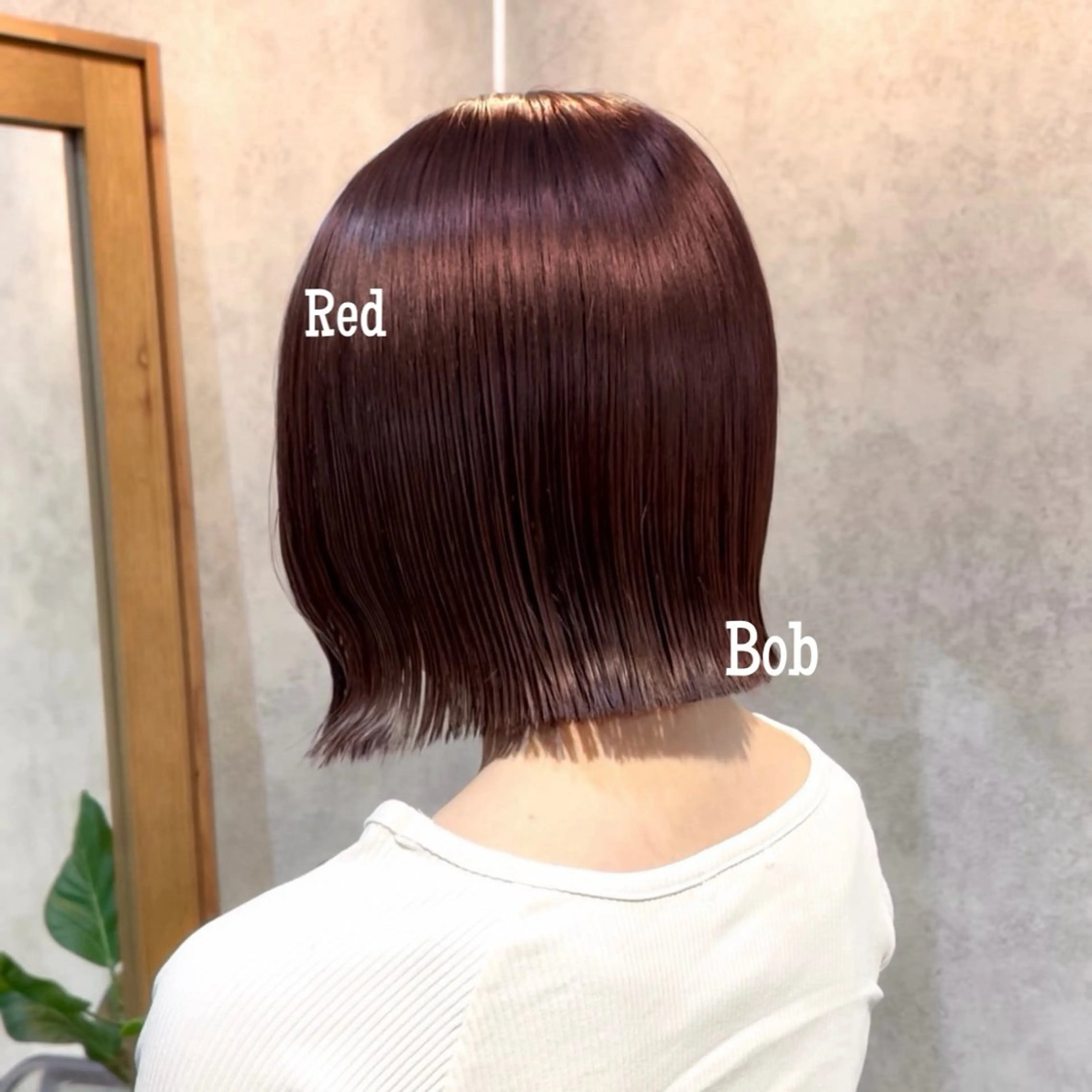 ミディアム カラー ブリーチ ボルドーカラー カシス ブリーチなしカラー レッドカラー カット ヘアカラー トリートメント ボブ/プツッとボブ/ 暖色カラー/モエのヘアスタイル