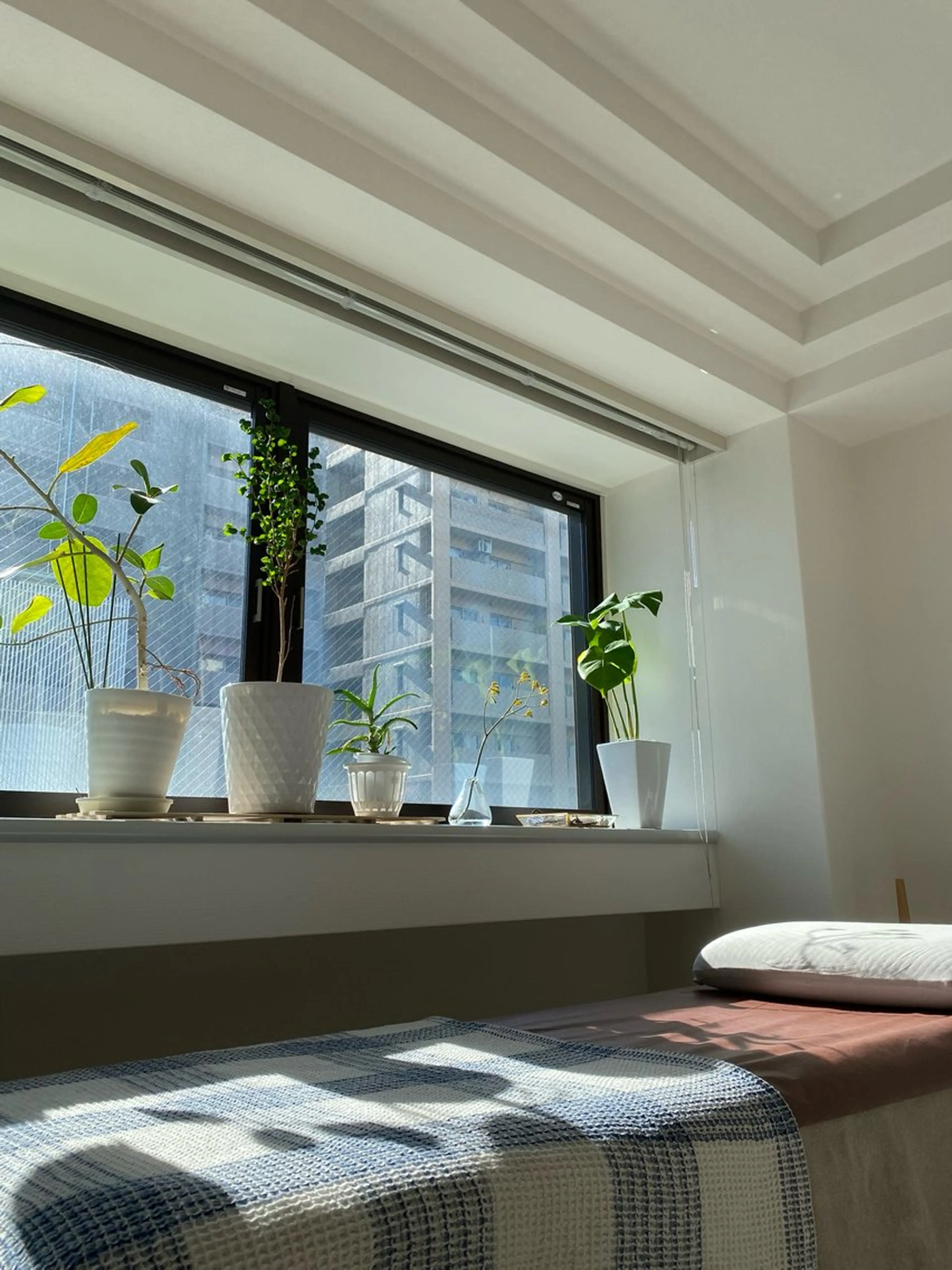 ボディヒーリング谷町整体所属・ボディヒーリング 整体/小顔・骨盤調整のエステ・リラクイメージ