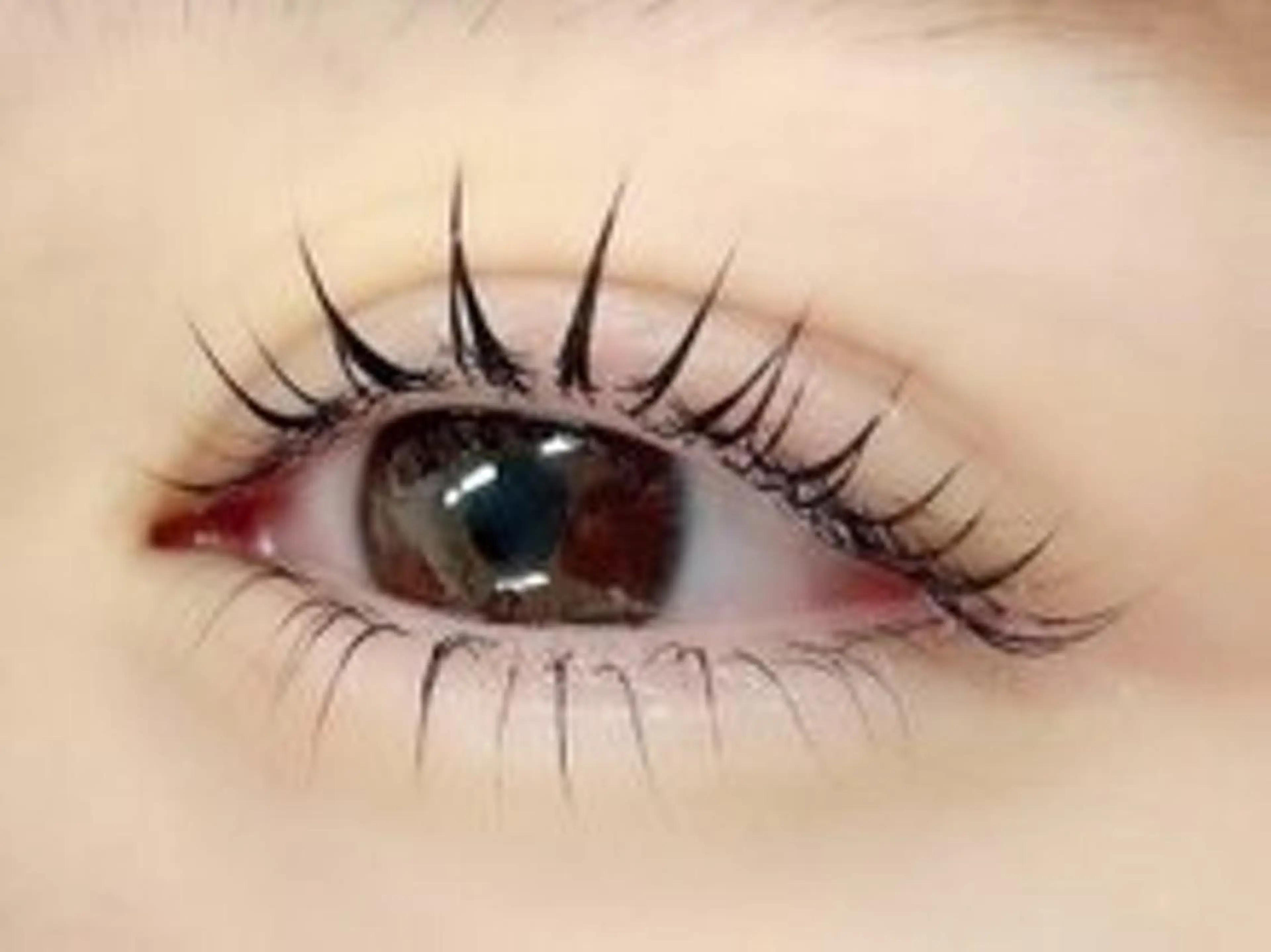 マツエク・マツパ ベリーラッシュ 渋谷公園通り店のマツエク・マツパデザイン