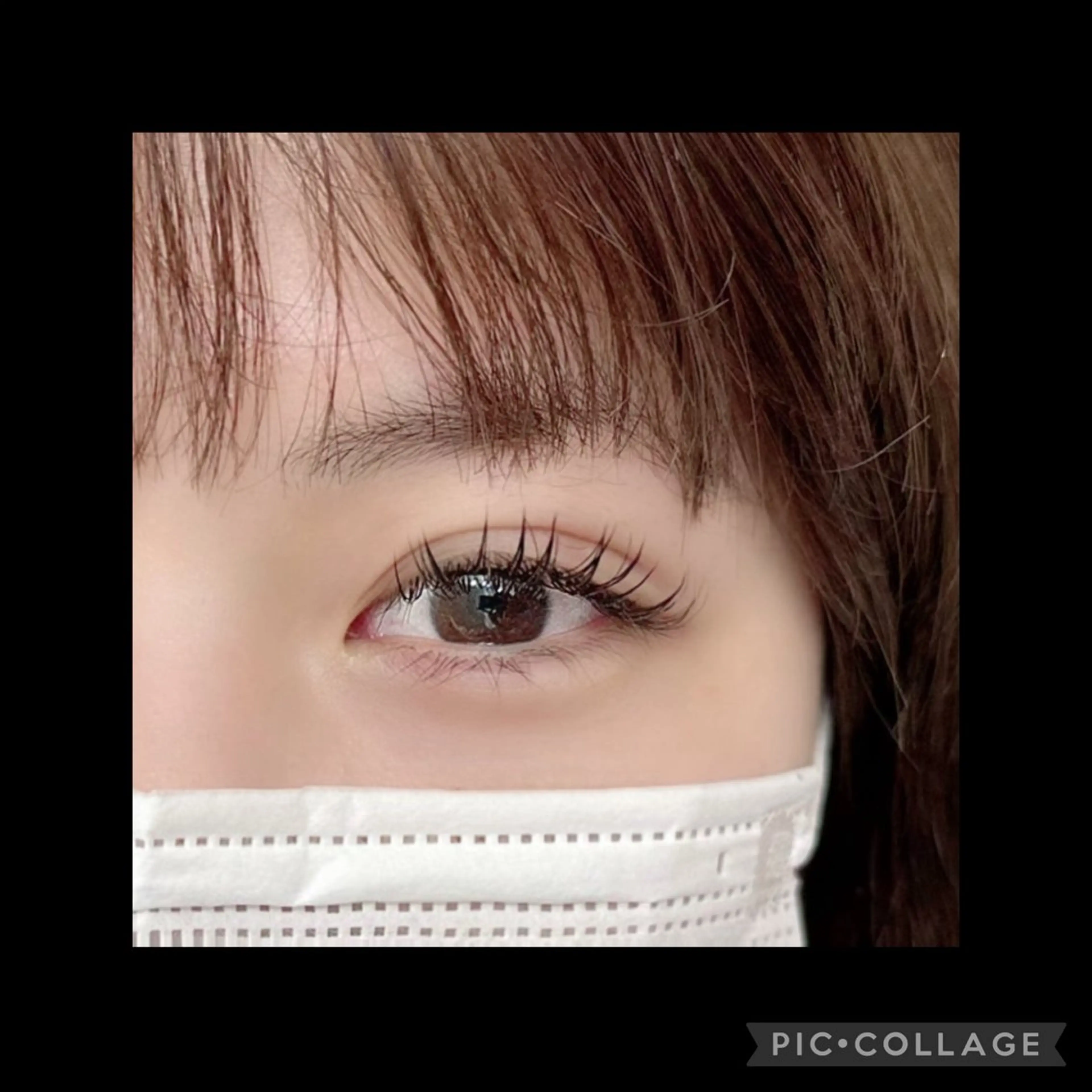 ✨🤩✨【学割U24】ミンク付け放題💝の写真