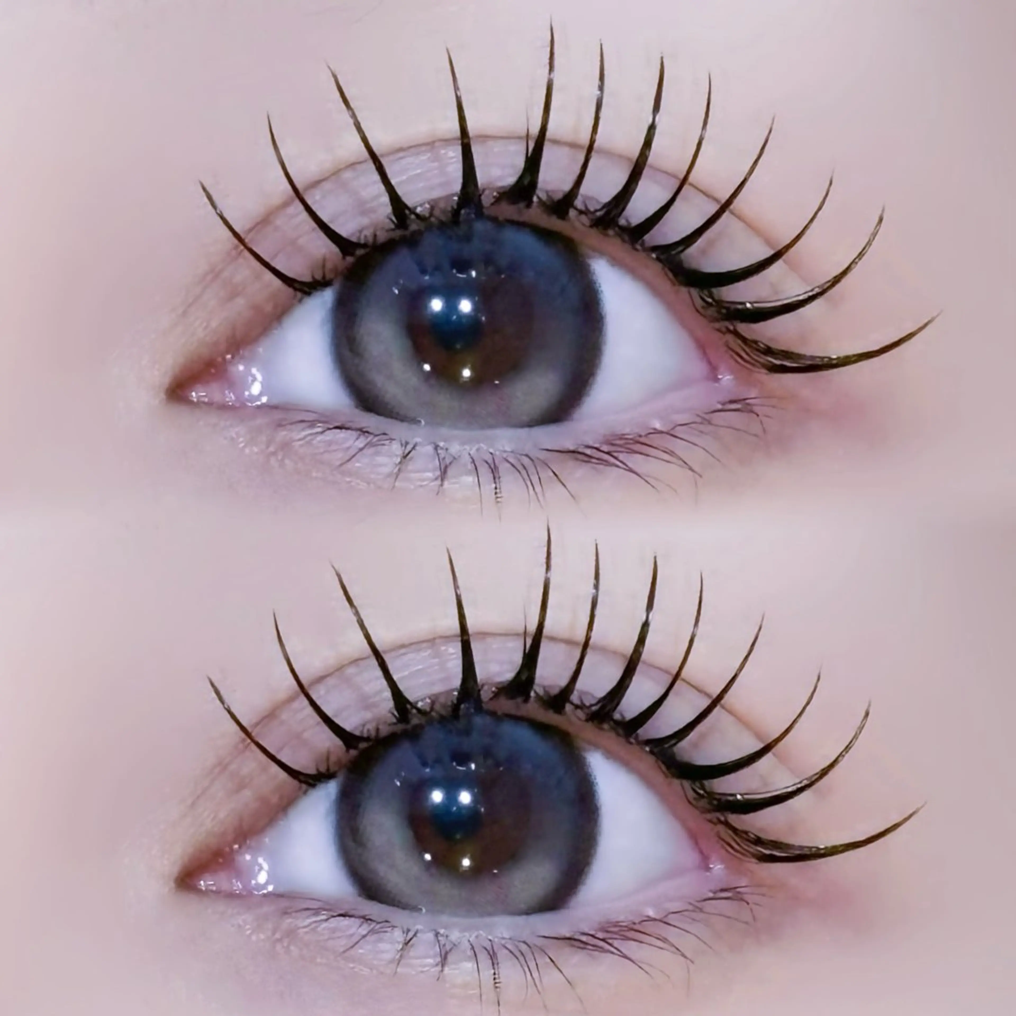 マツエク・マツパ EYELA🤍 蓜島のマツエク・マツパデザイン