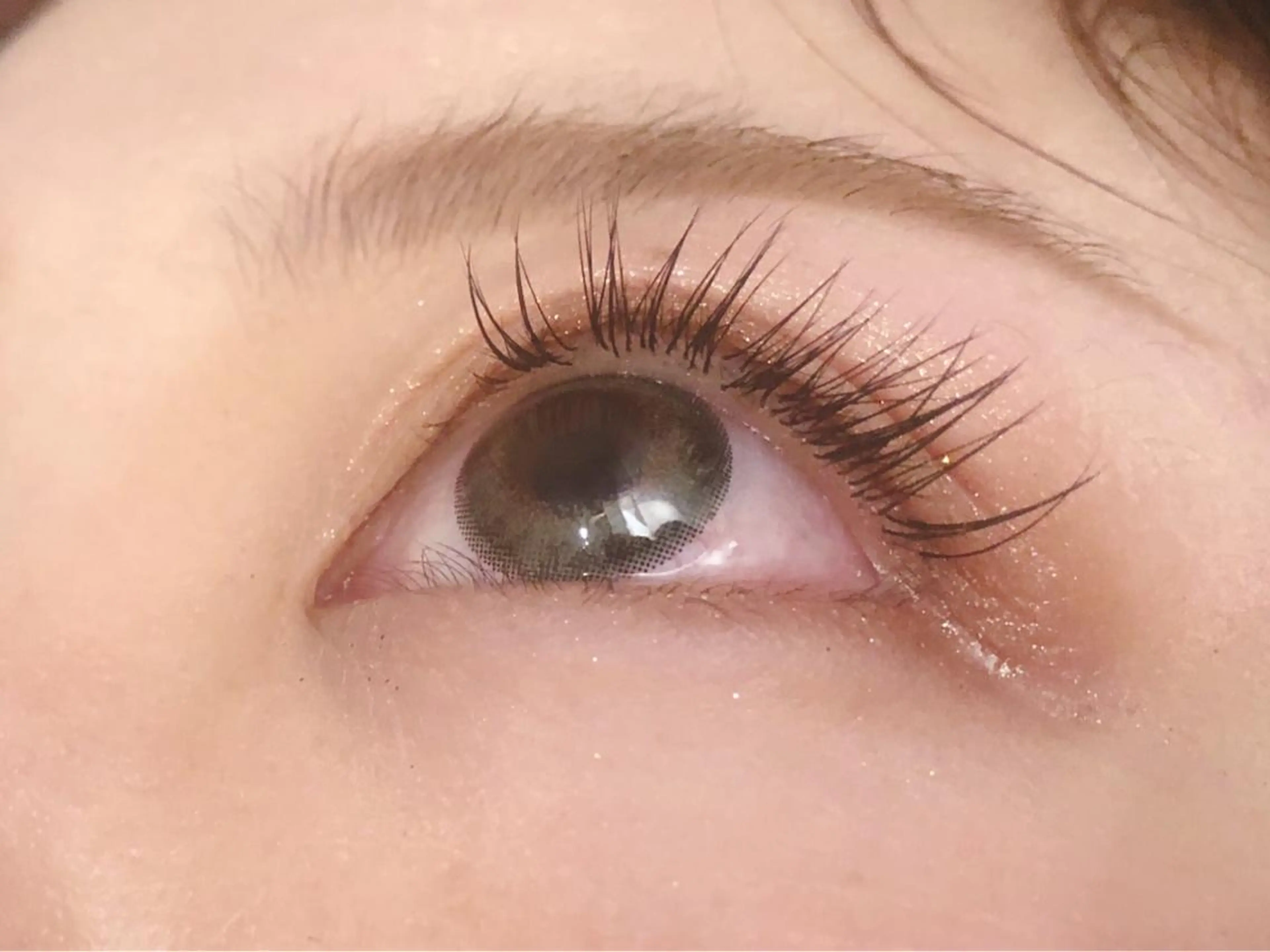 マツエク・マツパ Cカール セクシー Sylph & SCENEのマツエク・マツパデザイン