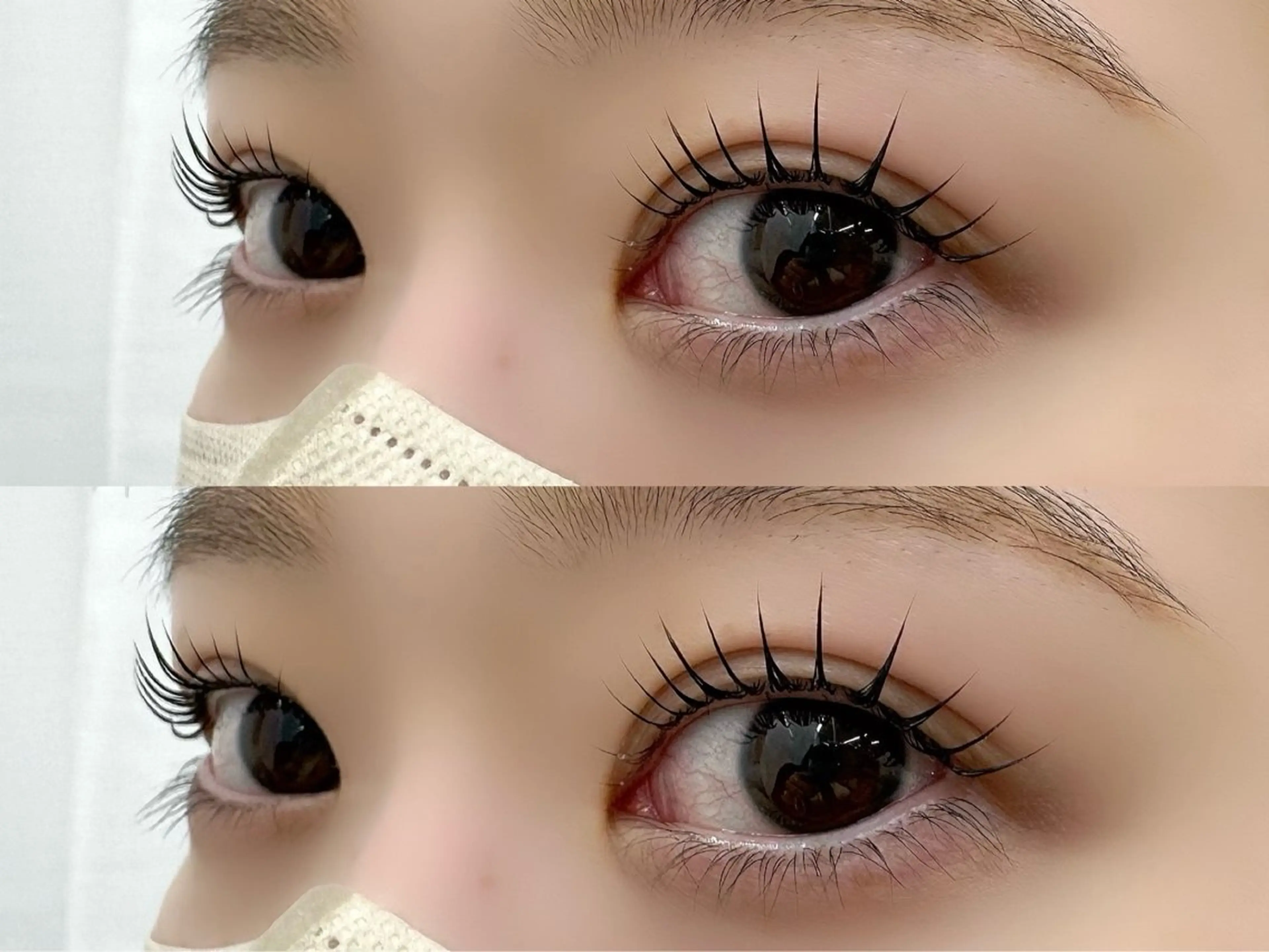 新規限定💙パリジェンヌラッシュリフト💙の写真