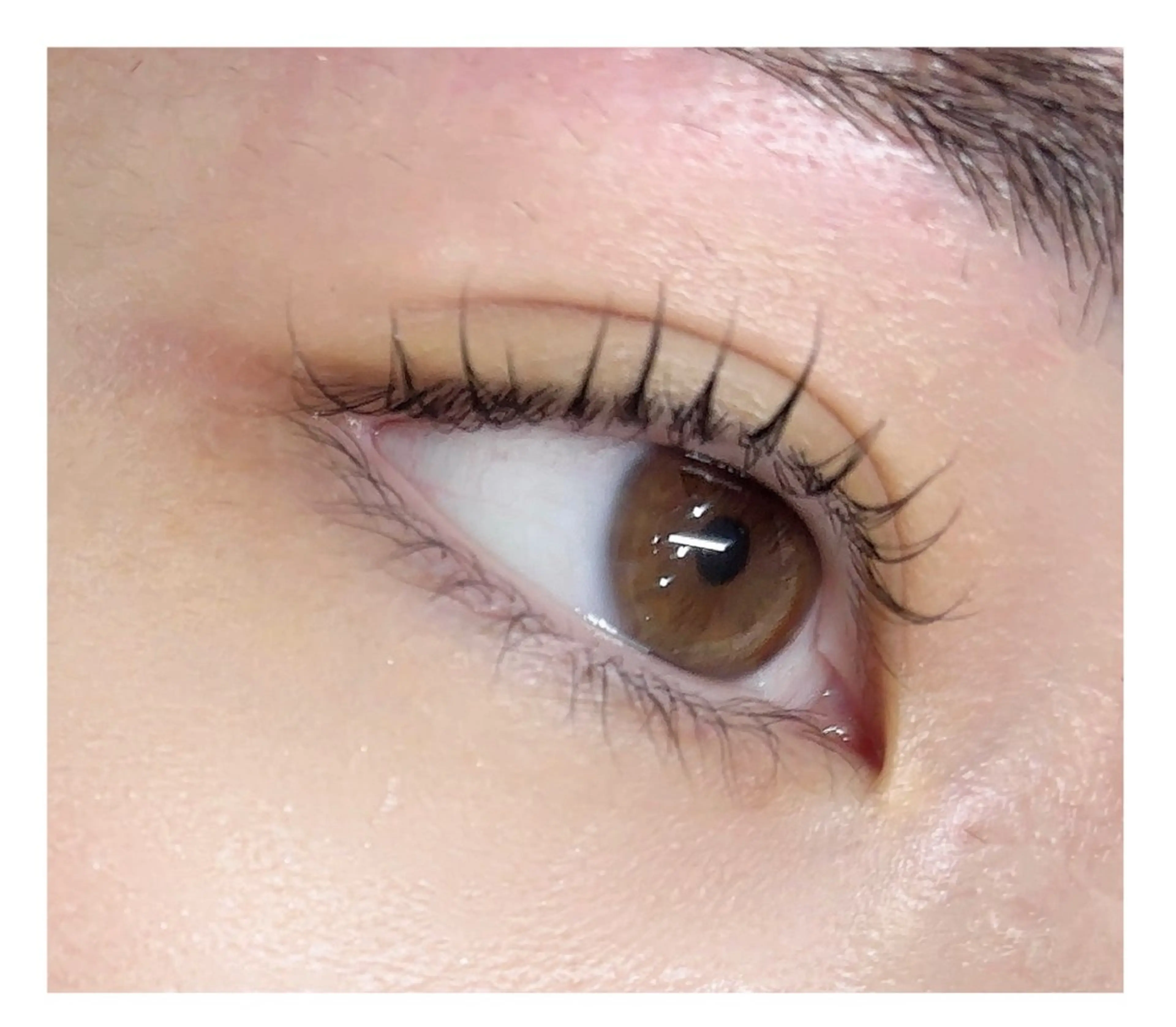 マツエク・マツパ マツパ ラブニールハトル🎀 yumaのマツエク・マツパデザイン