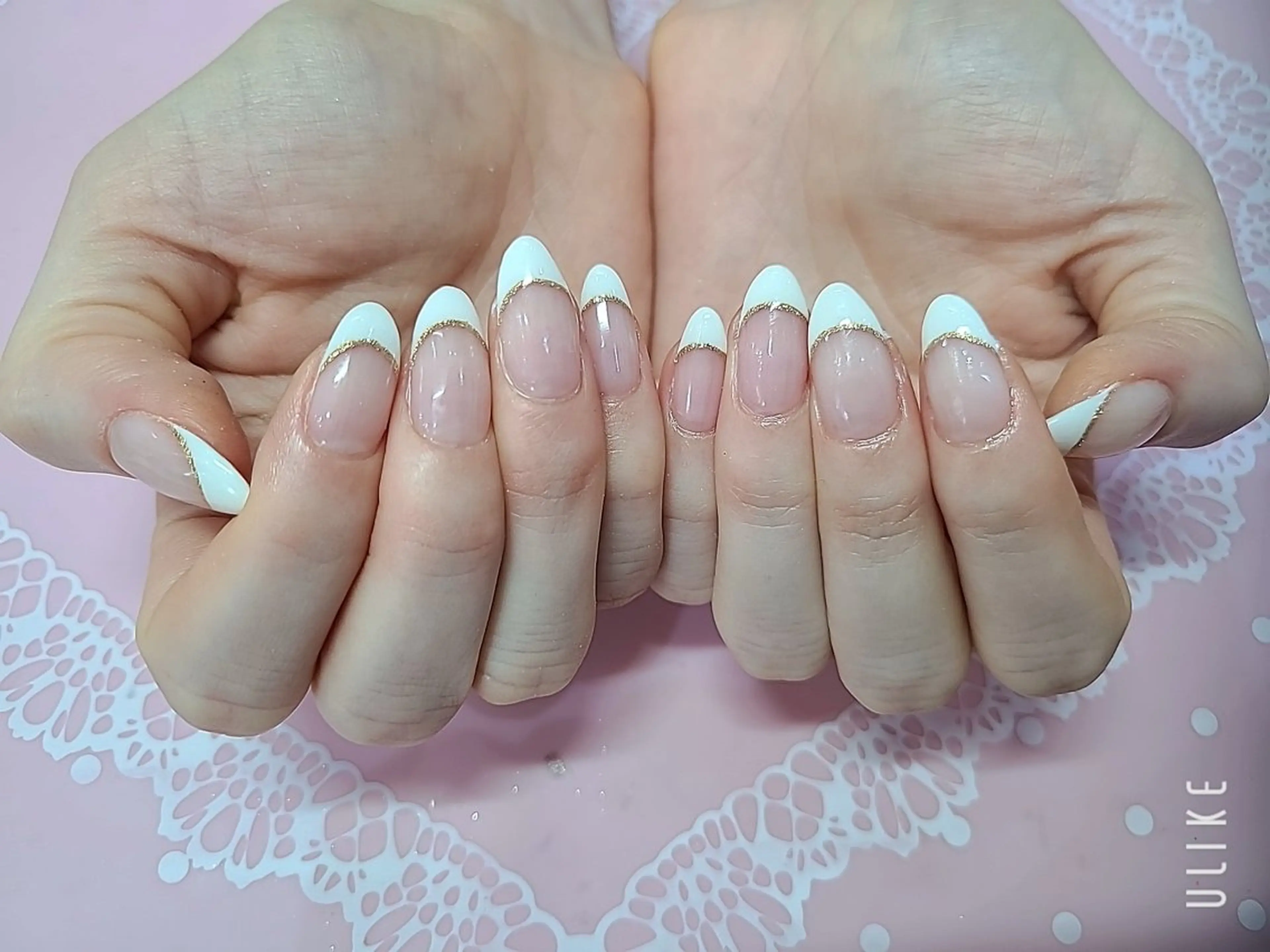 フレンチラメラインの写真