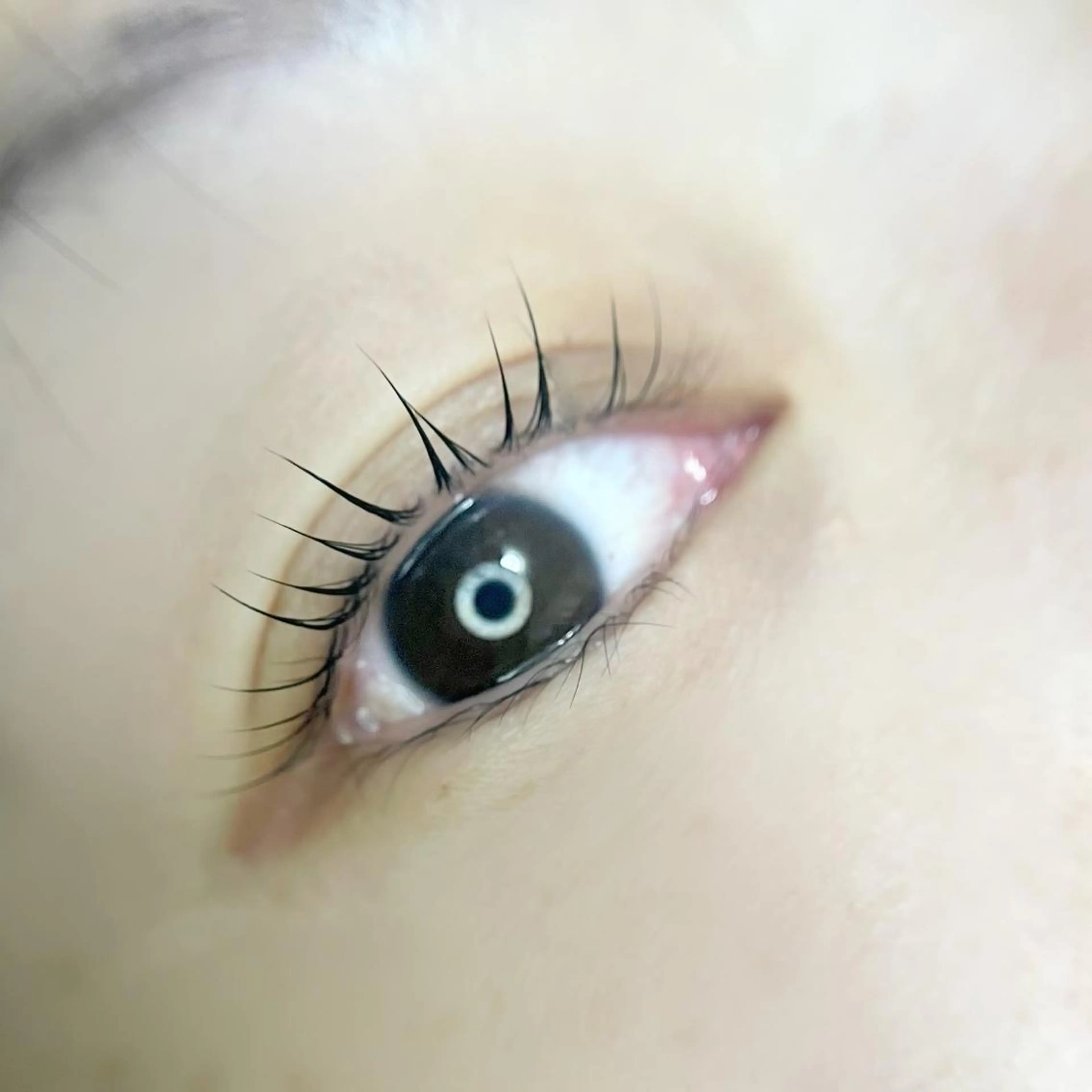 マツエク・マツパ eyelash＆eyebrow salon　rimieux所属・畑 リナ　　上北沢のマツエク・マツパデザイン